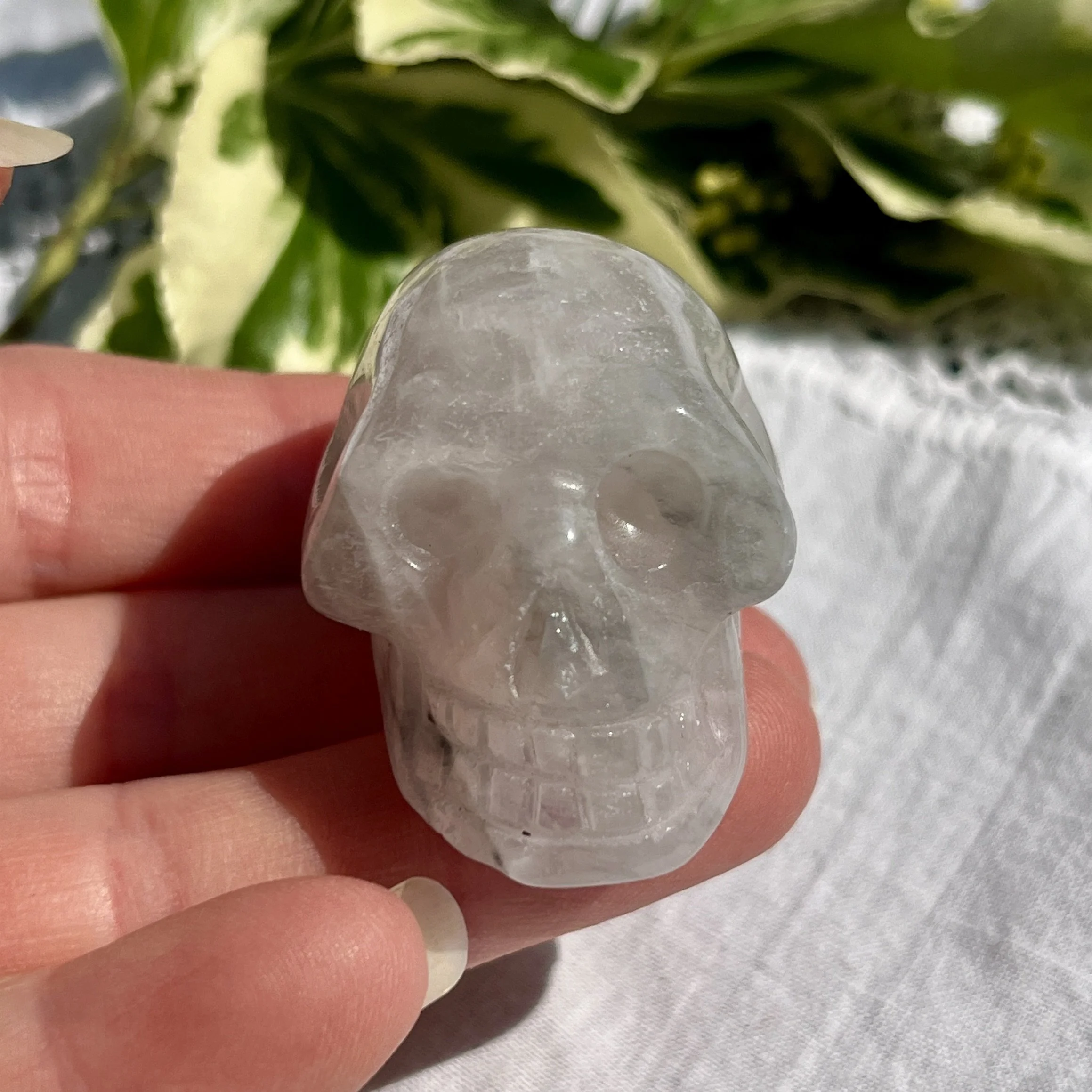 Luna Rose Skull d.jpeg