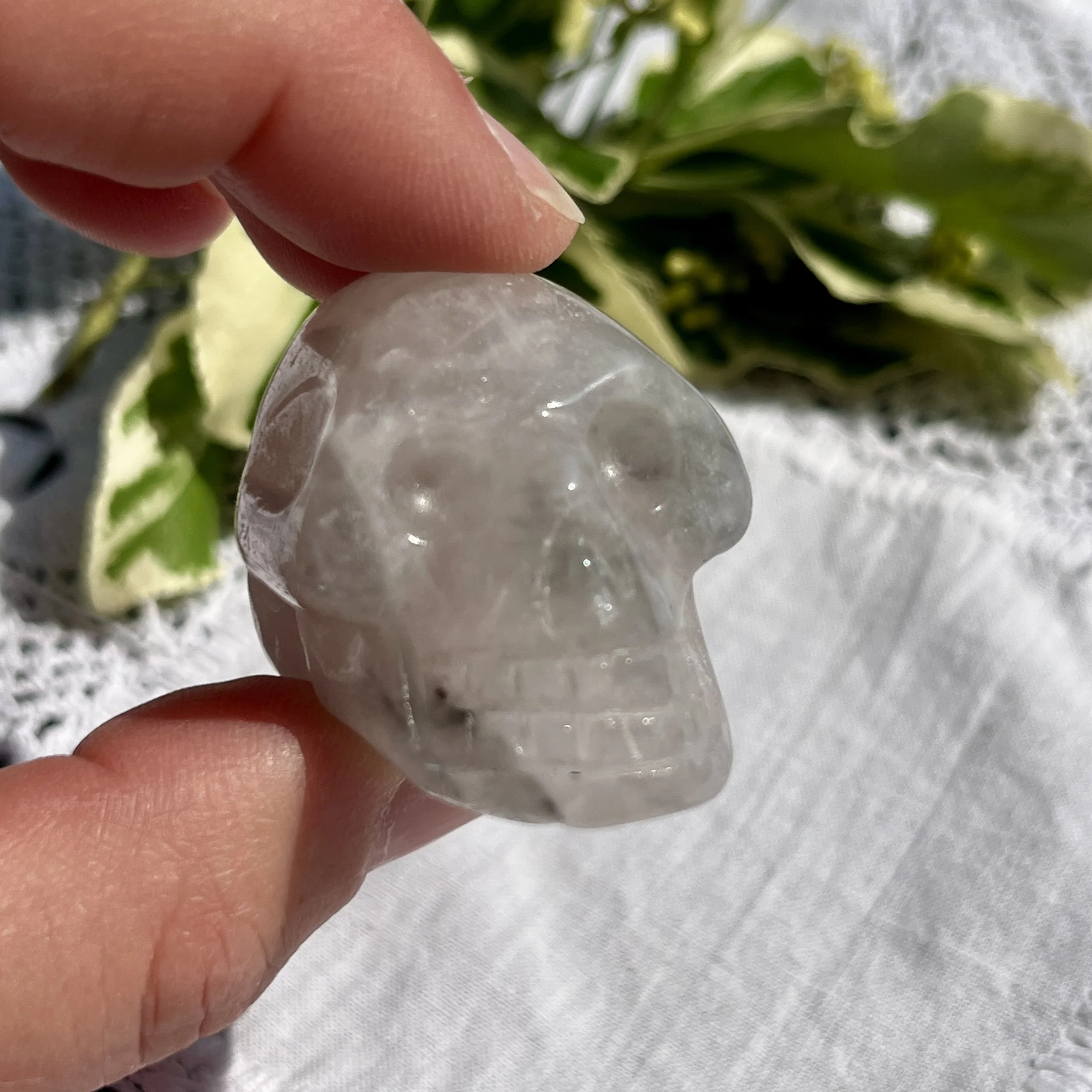 Luna Rose Skull c.jpeg