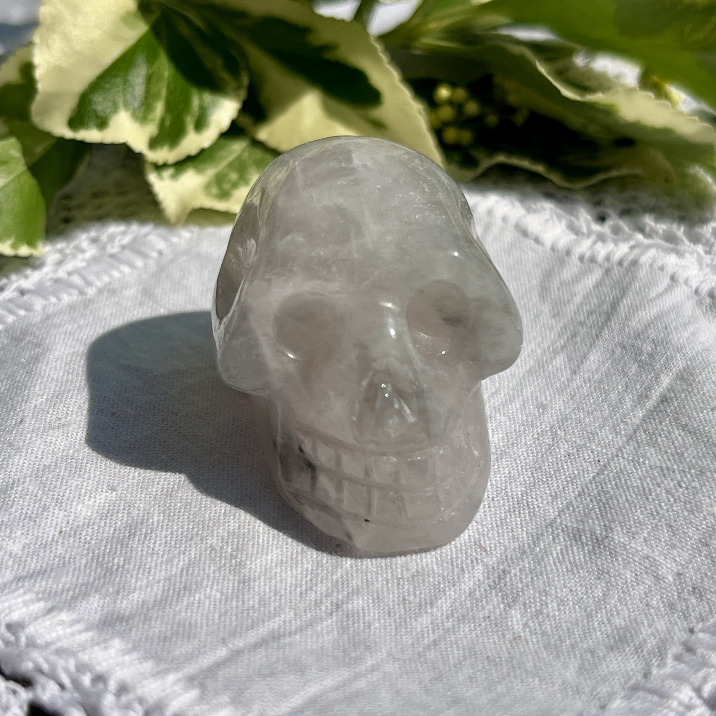 Luna Rose Skull b.jpeg