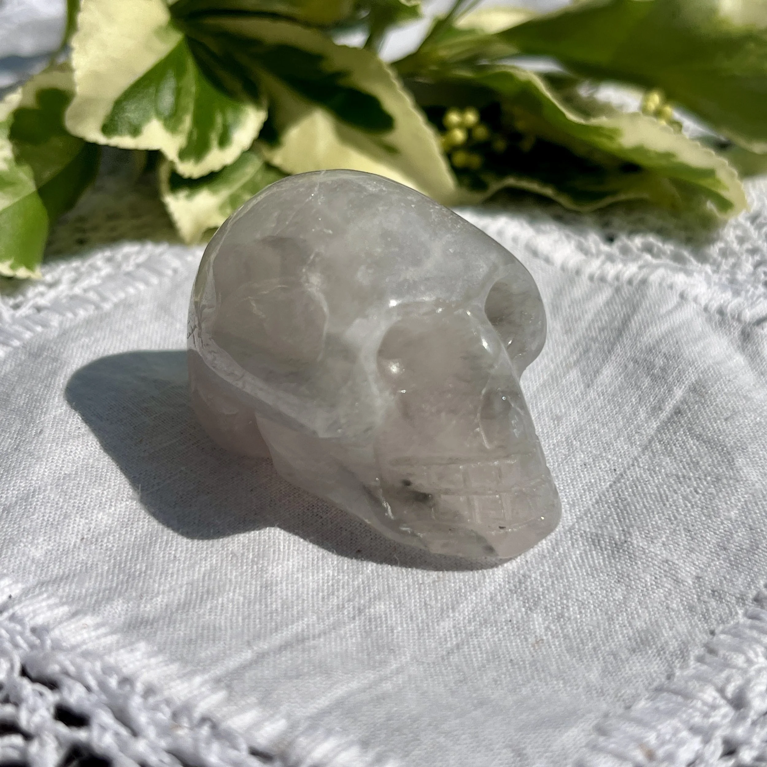 Luna Rose Skull e.jpeg