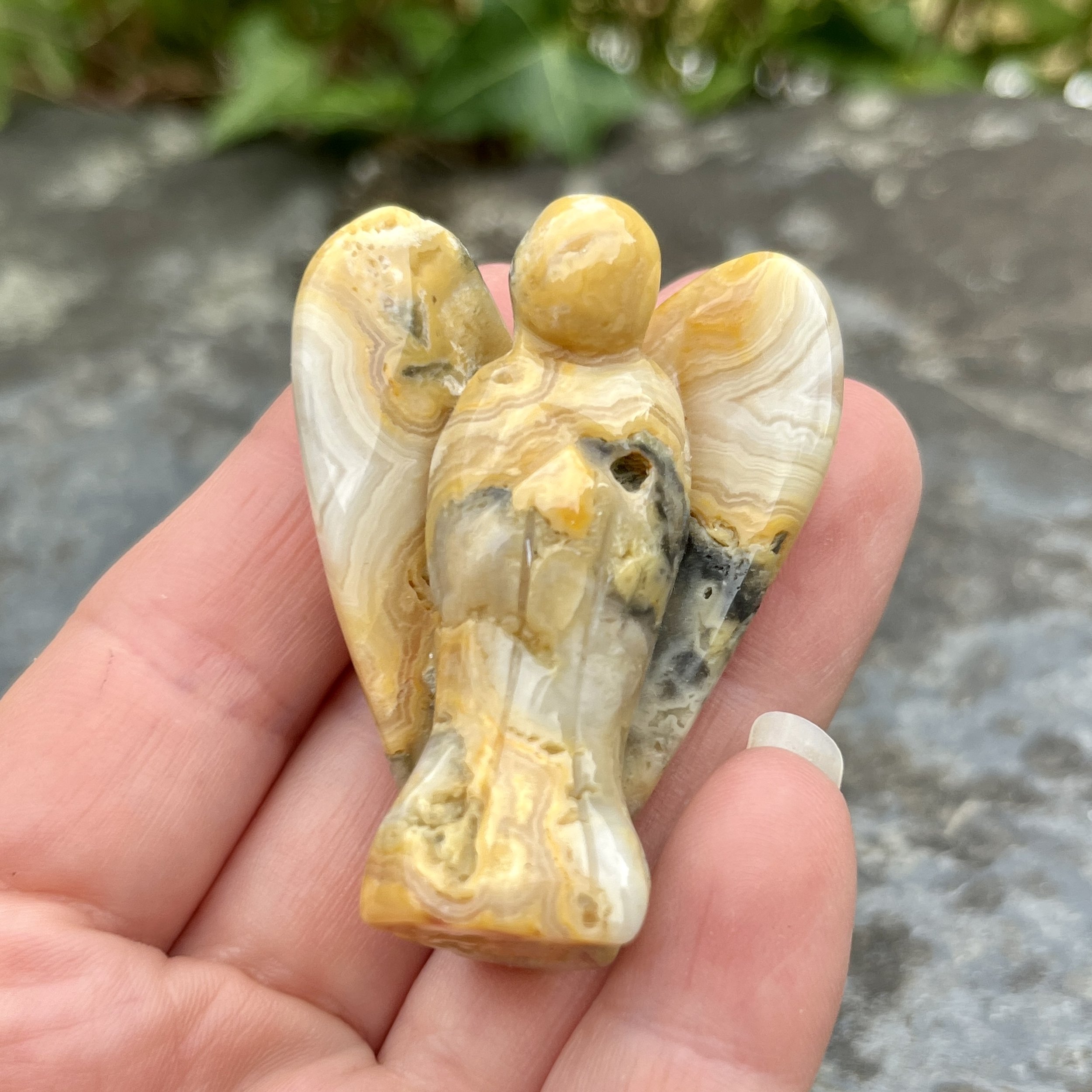 Crazy lace angel c.jpeg