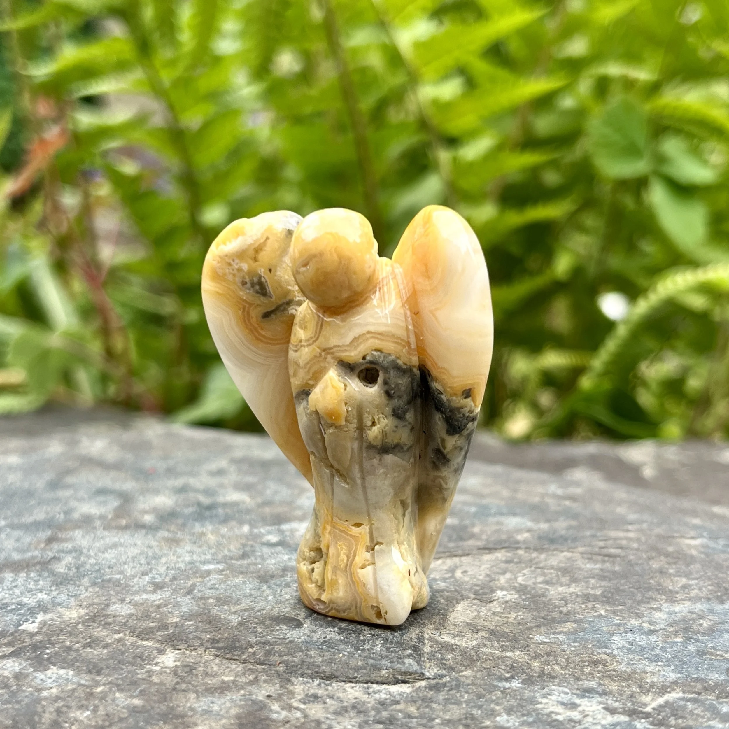 Crazy lace angel b.jpeg