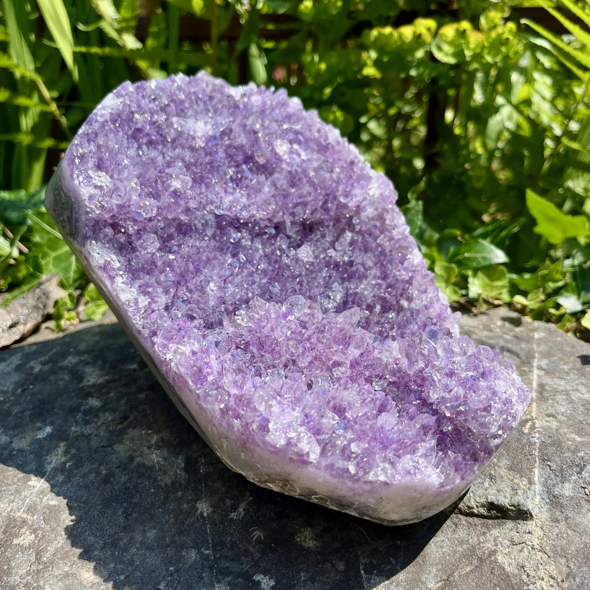 Amethyst cluster June 23 1b.jpeg