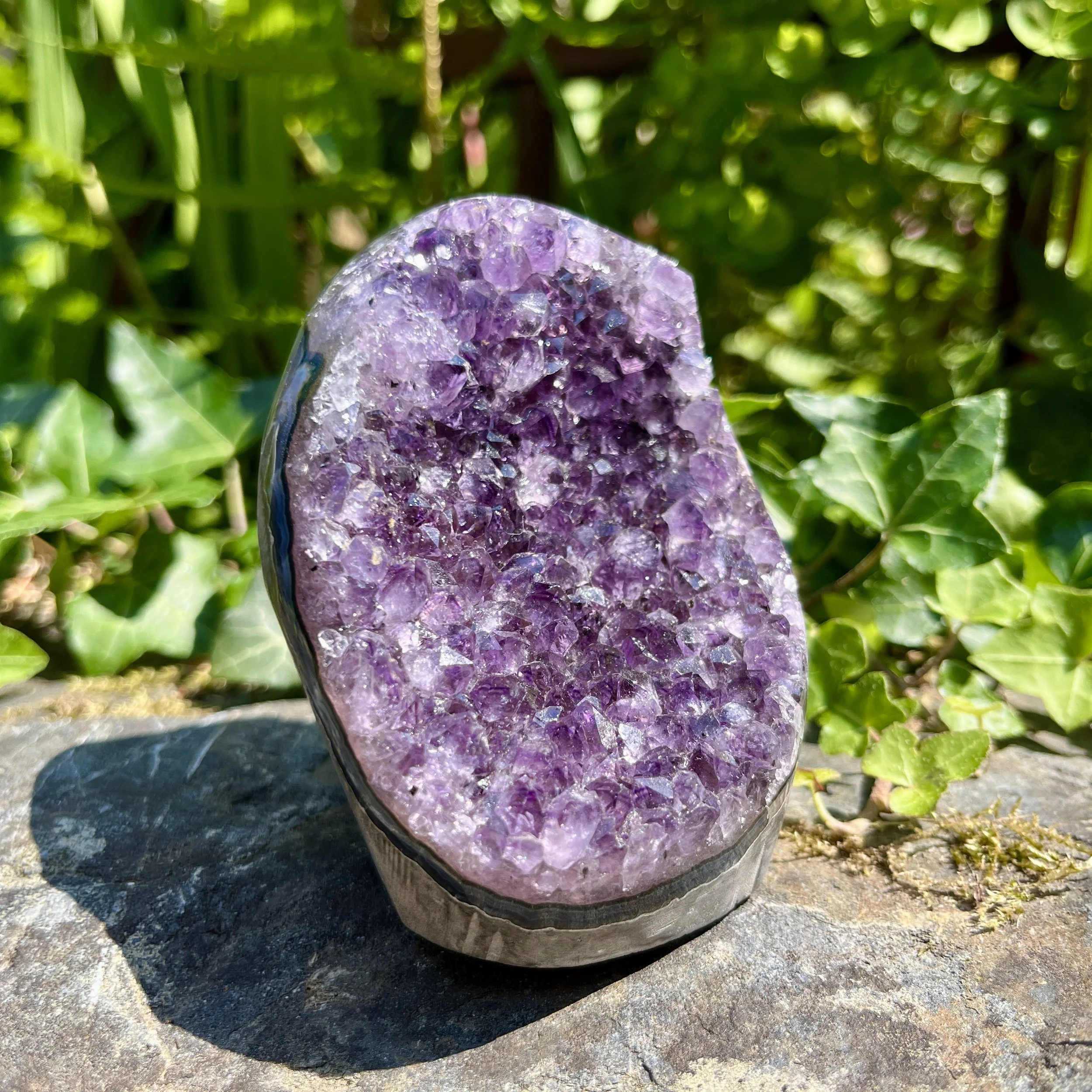 Amethyst cluster June 23 5a.jpeg