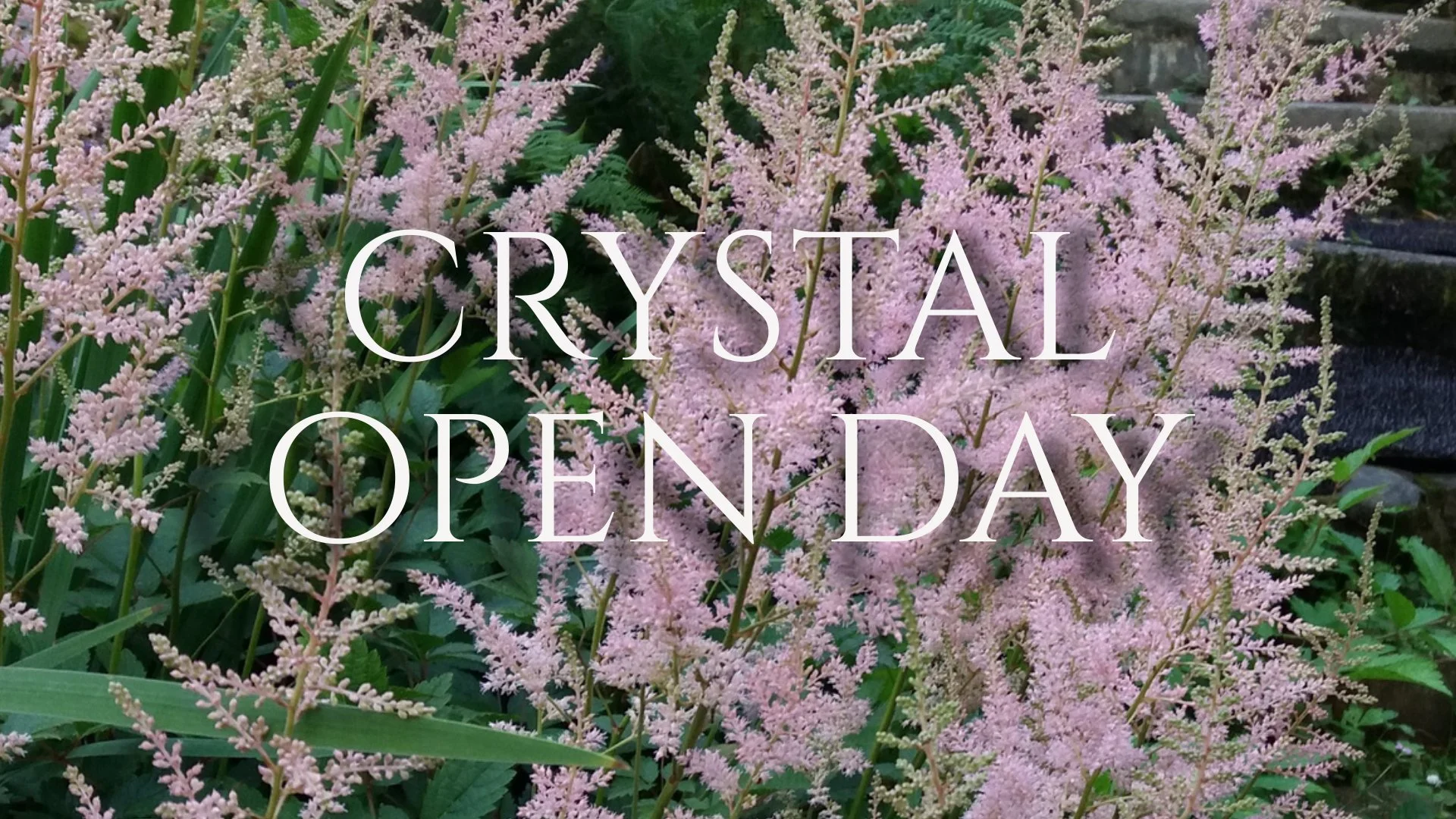 Crystal Open Day