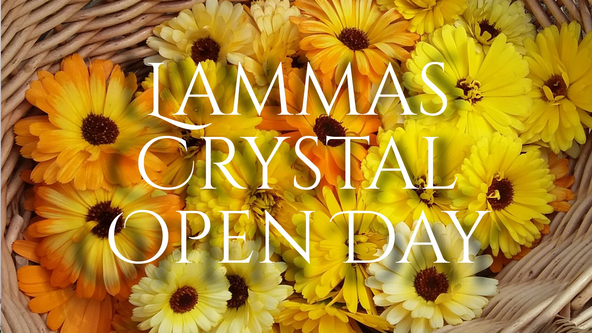 Lammas Open Day at Sue's Crystal Barn