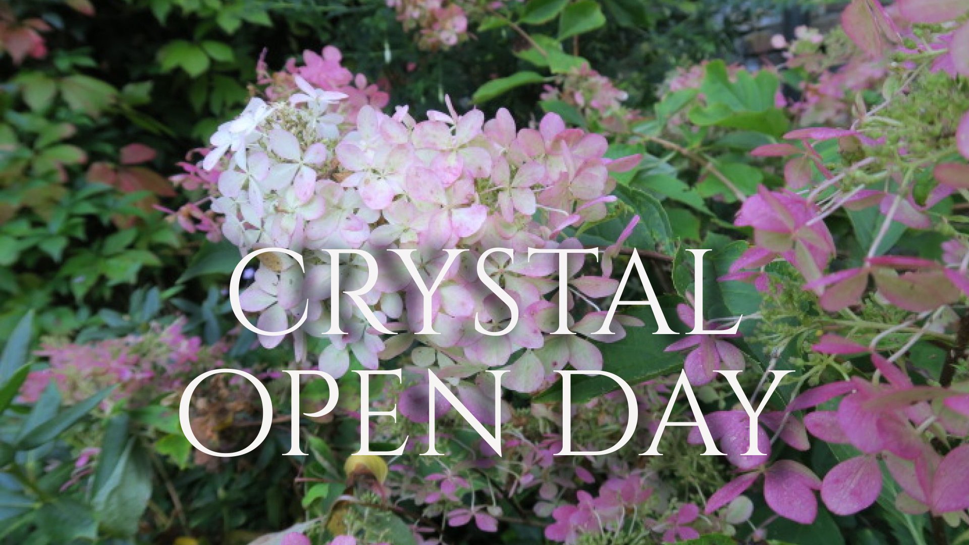 Crystal Open Day 