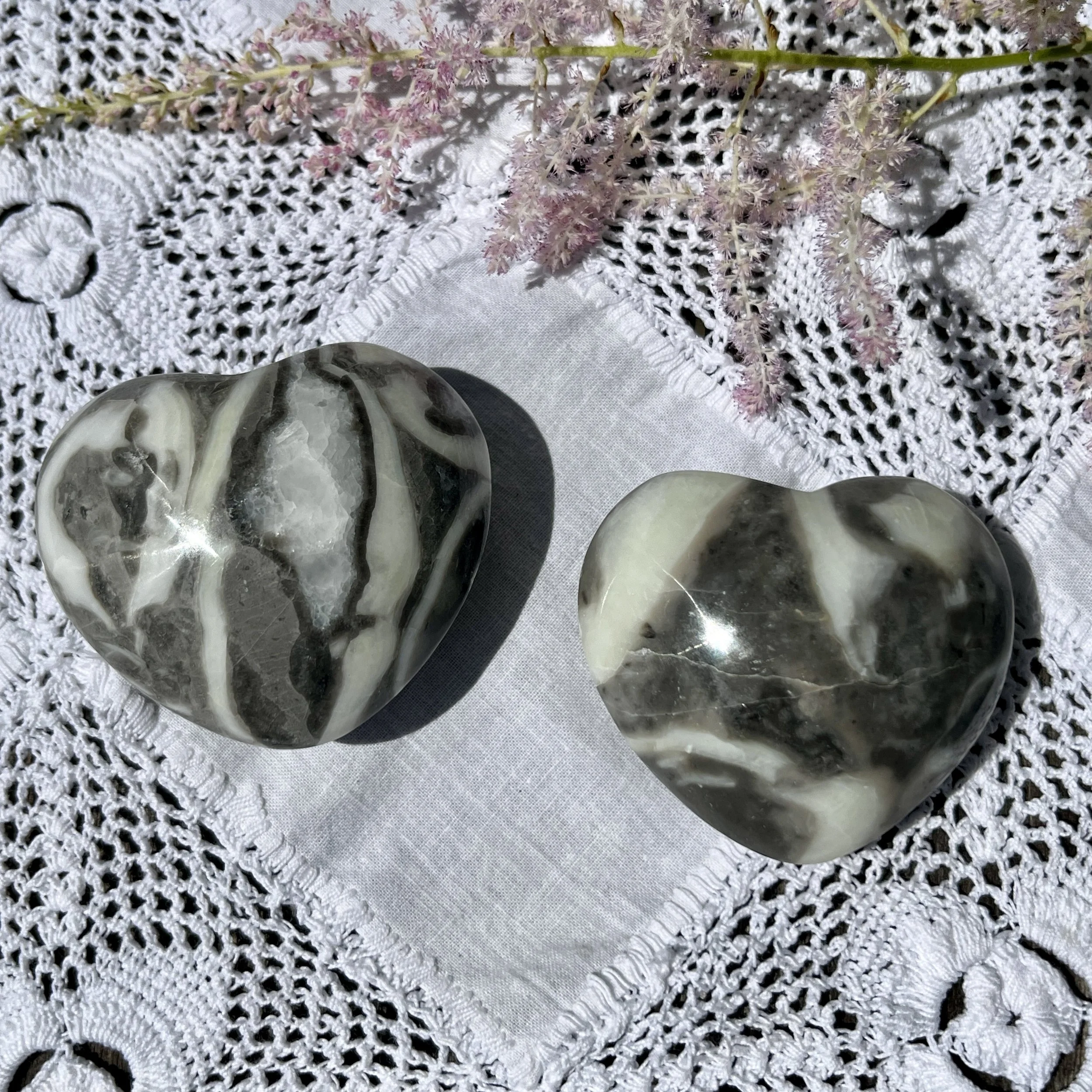 Shell Jasper hearts both.jpeg