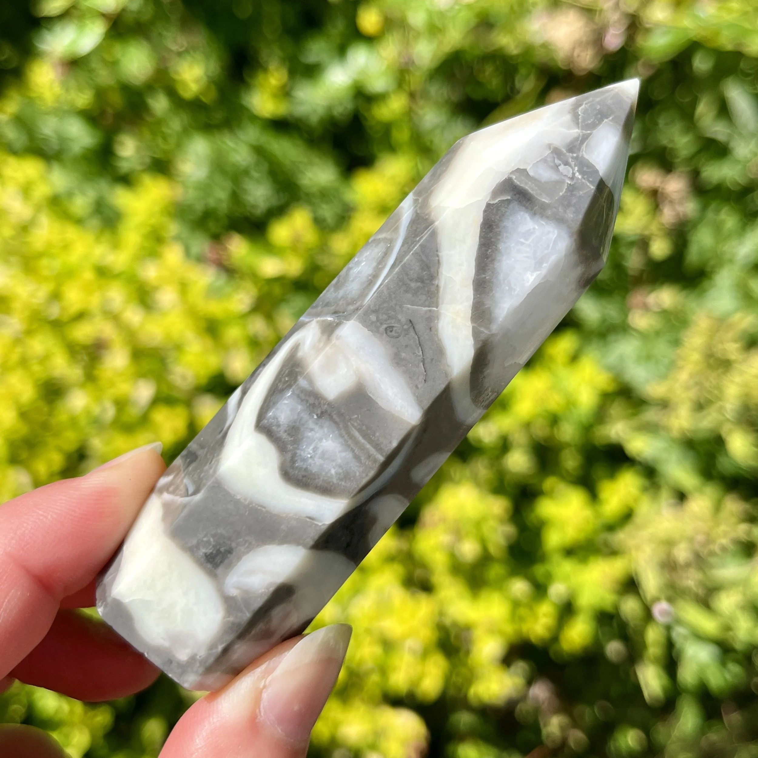 Shell Jasper point 1d.jpeg