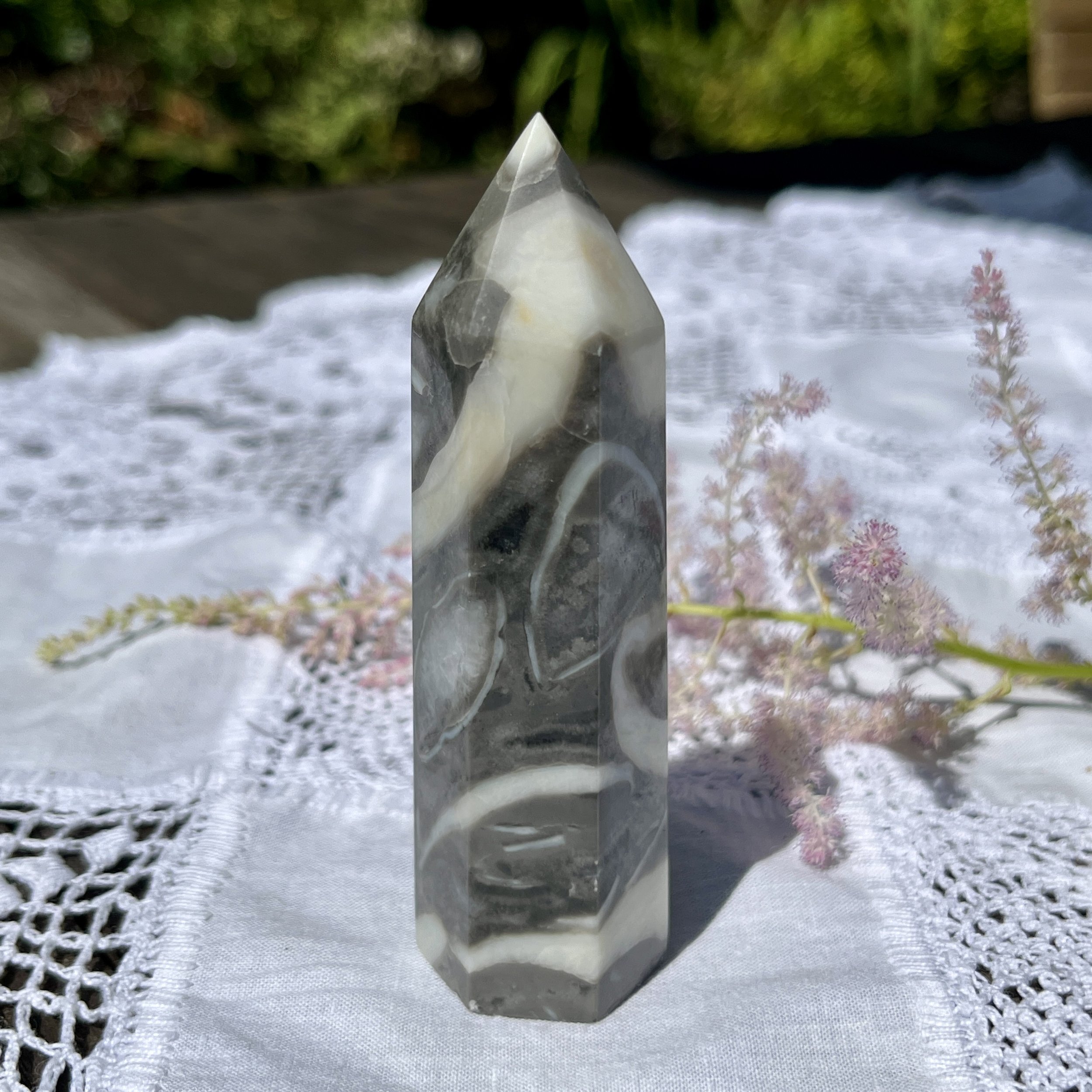 Shell Jasper point 1a.jpeg