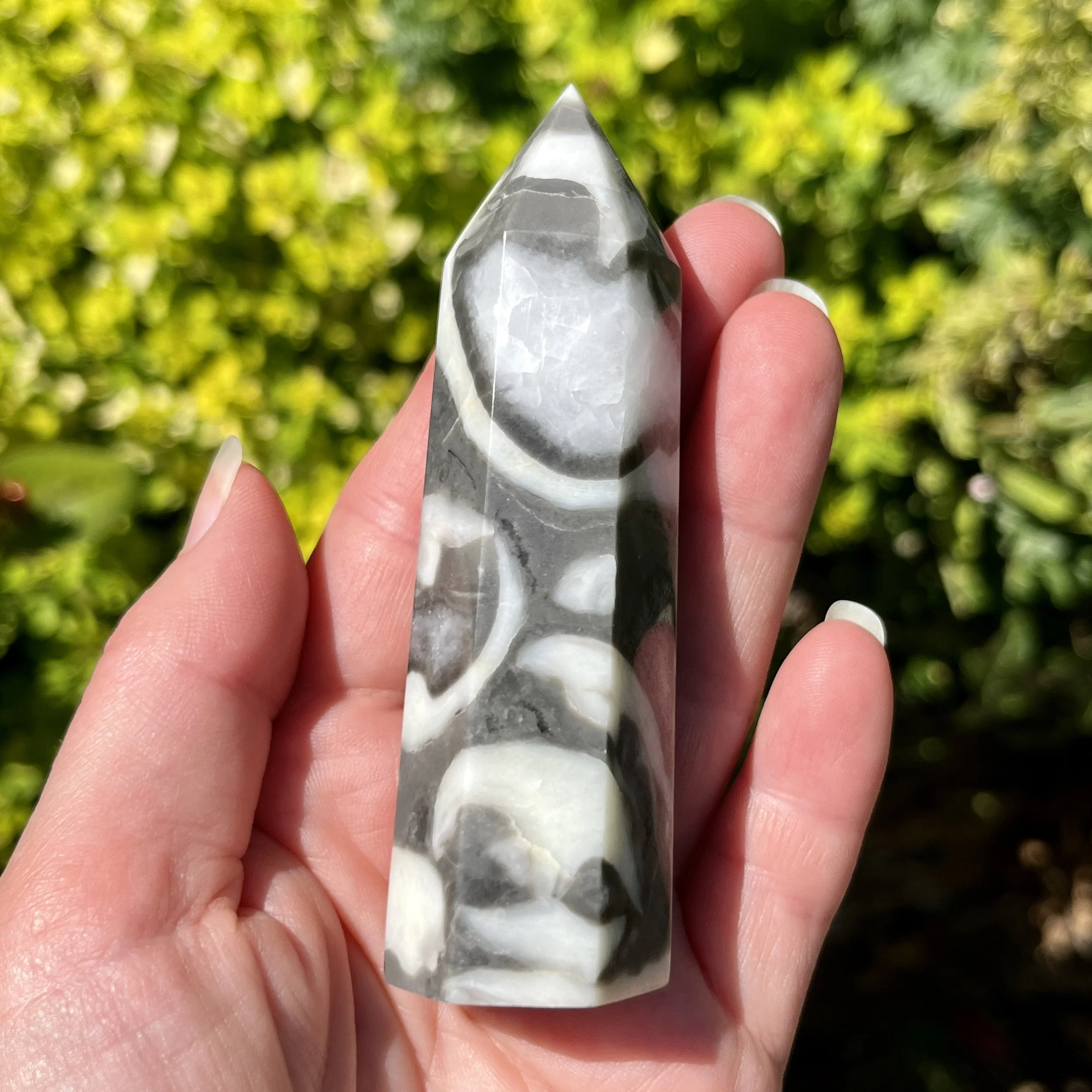 Shell Jasper point 1c.jpeg