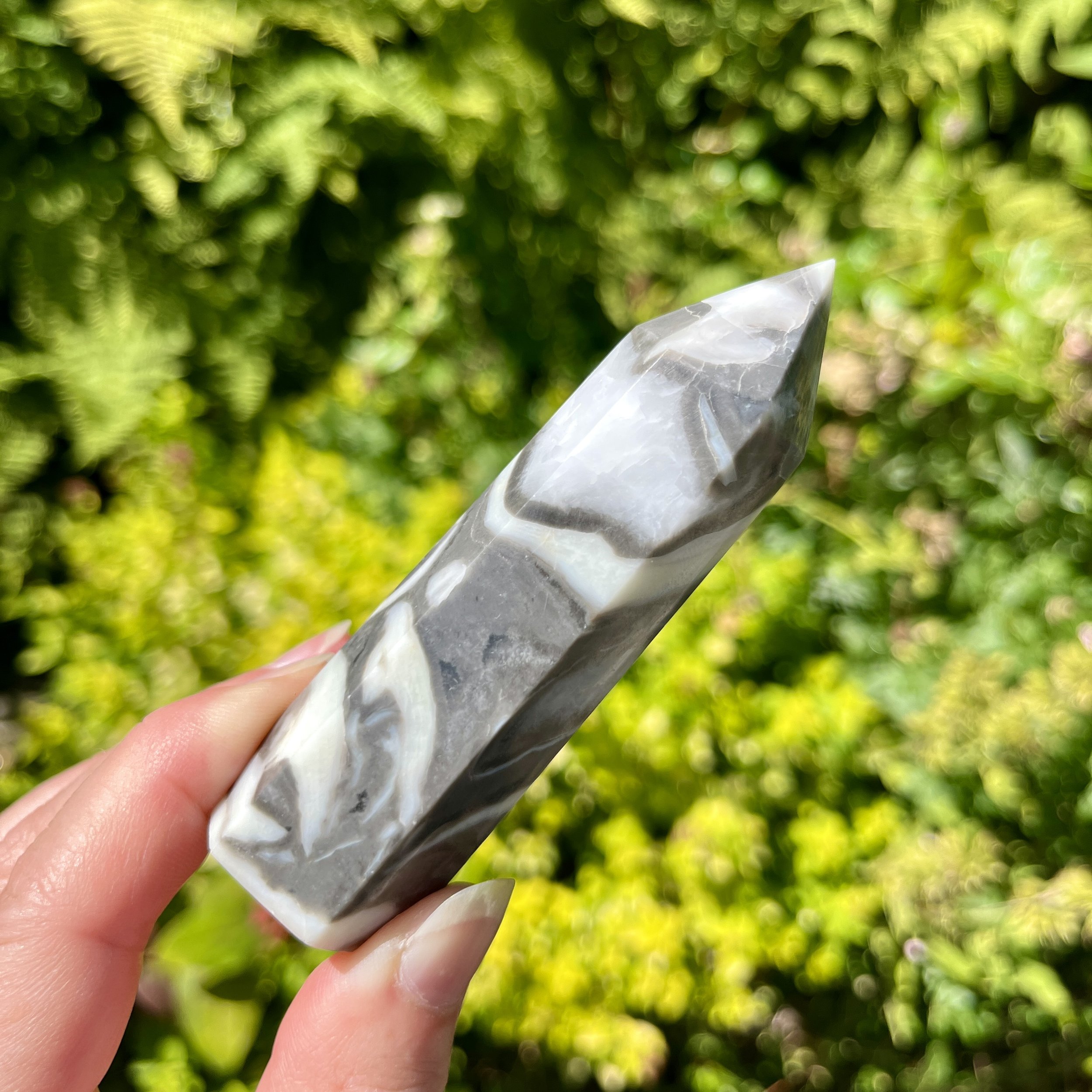 Shell Jasper point 1e.jpeg