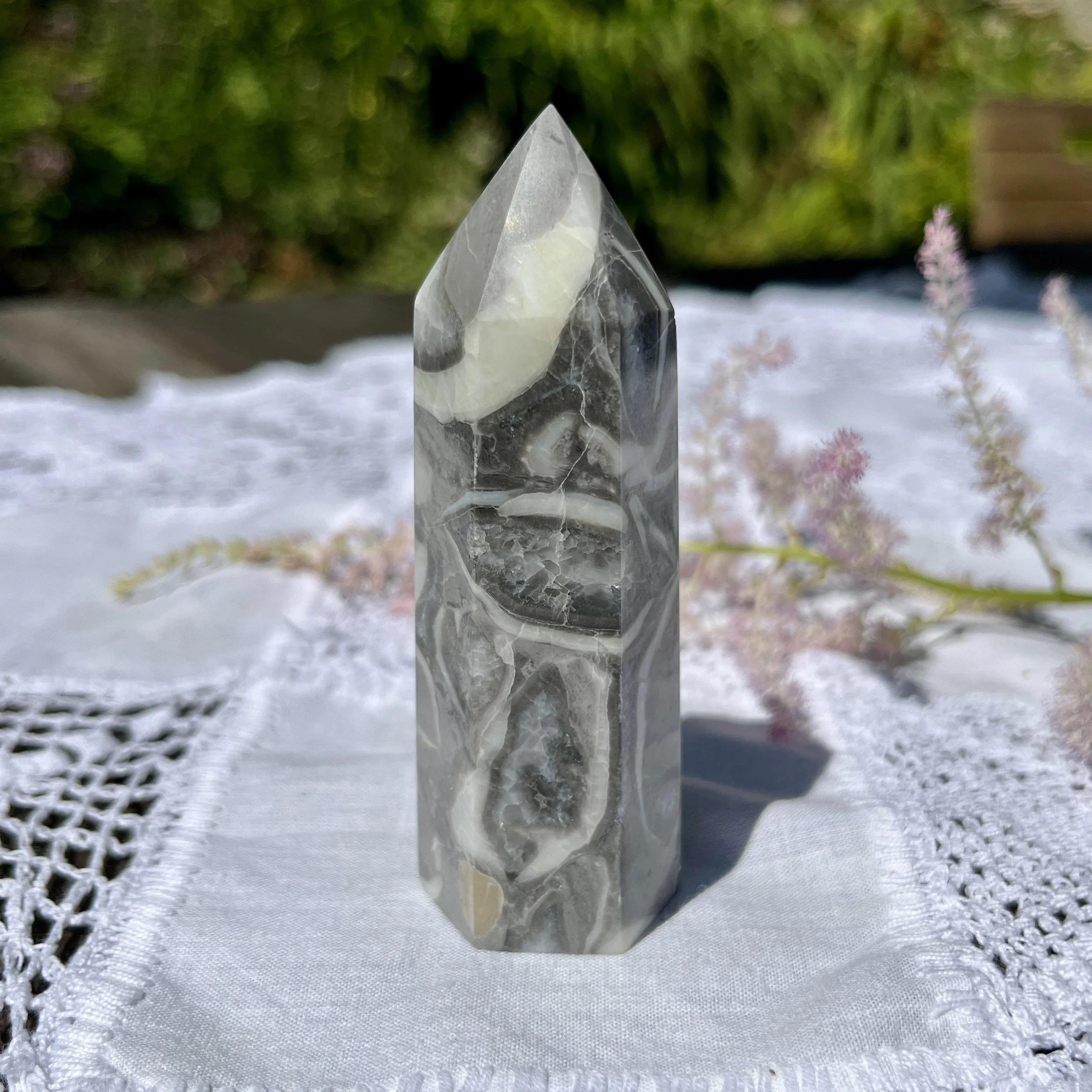 Shell Jasper point 2a.jpeg