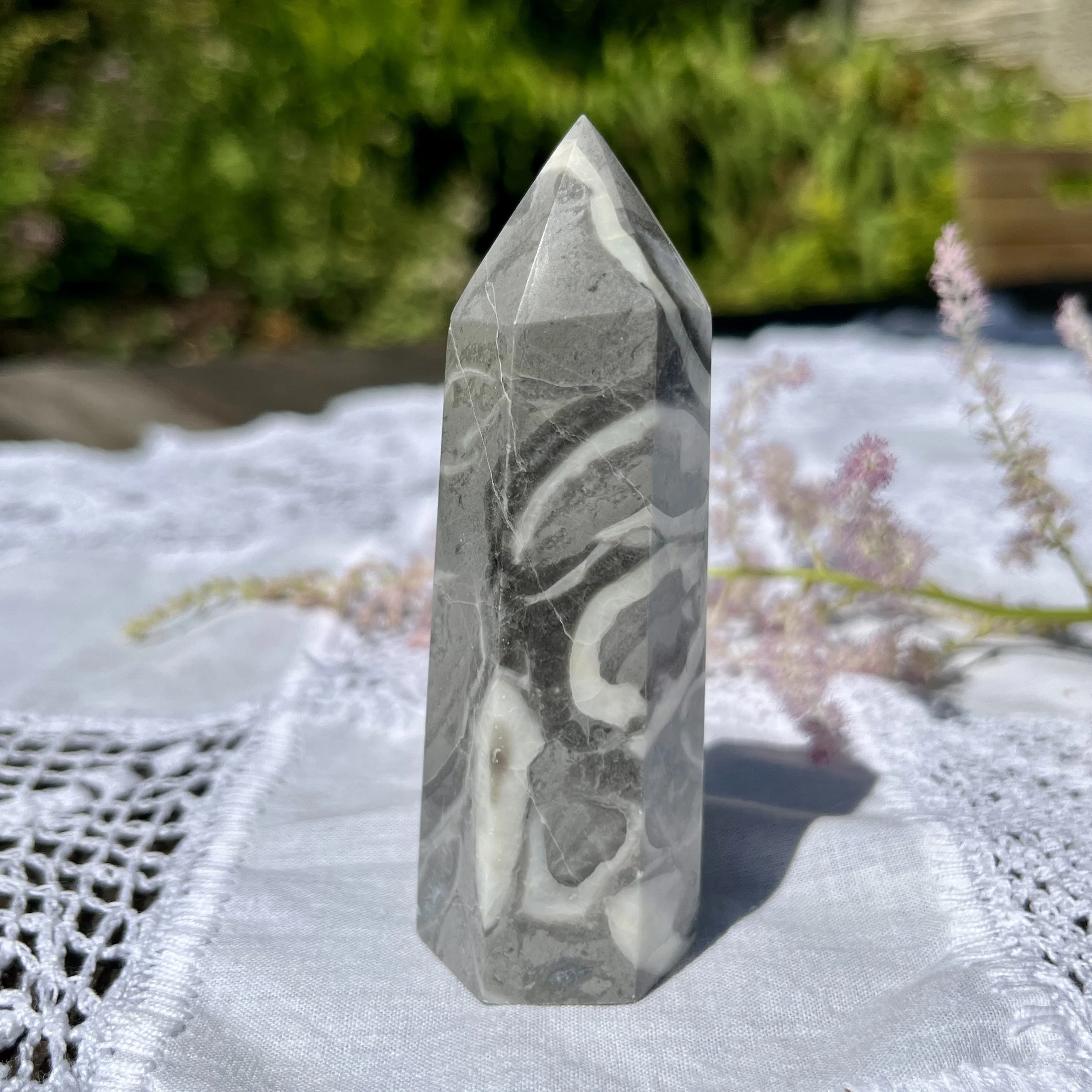 Shell Jasper point 2b.jpeg