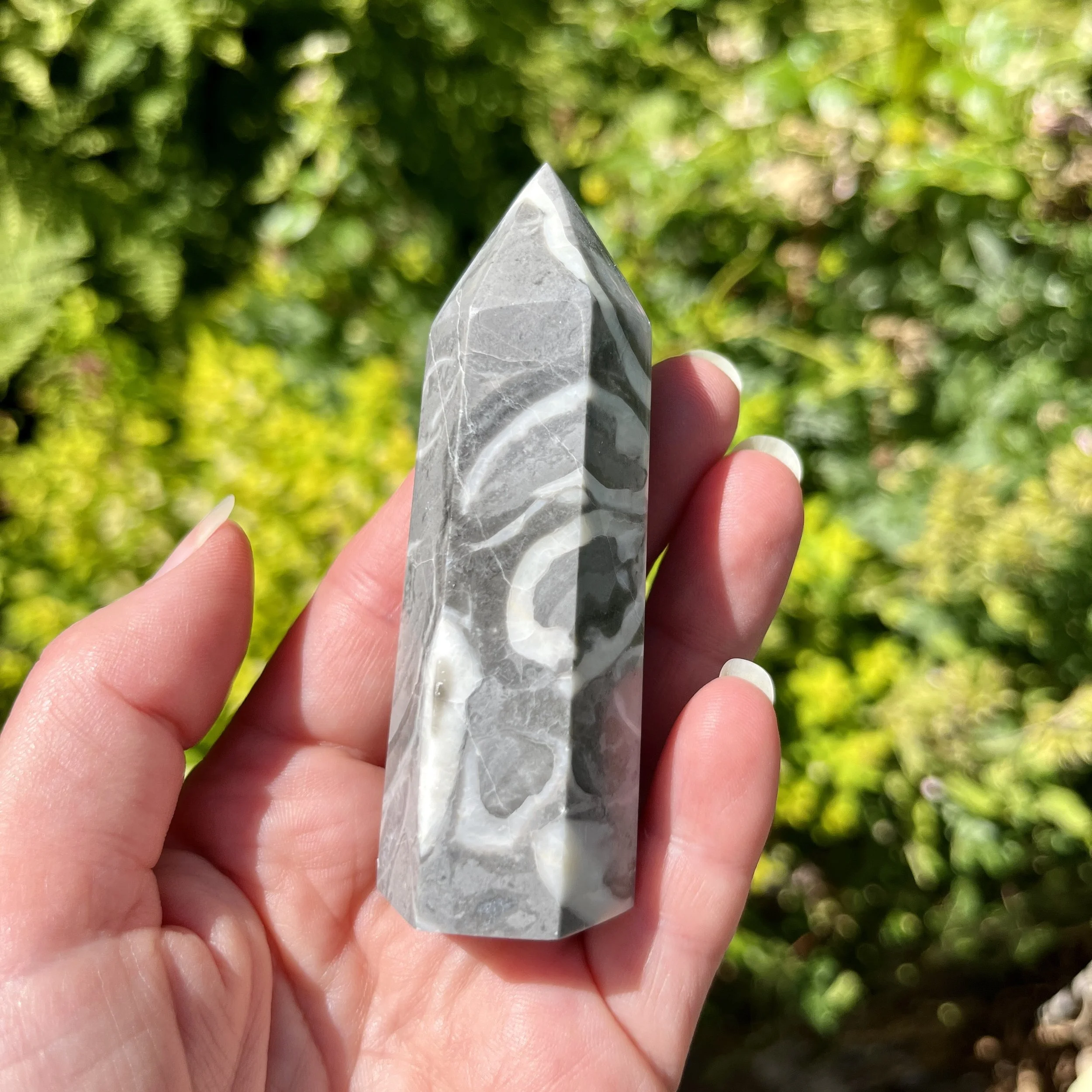 Shell Jasper point 2c.jpeg