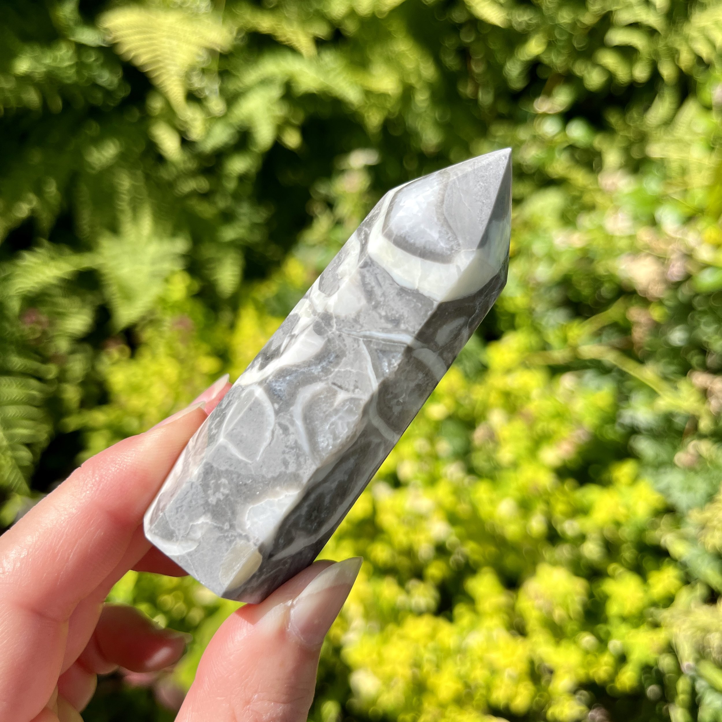 Shell Jasper point 2e.jpeg