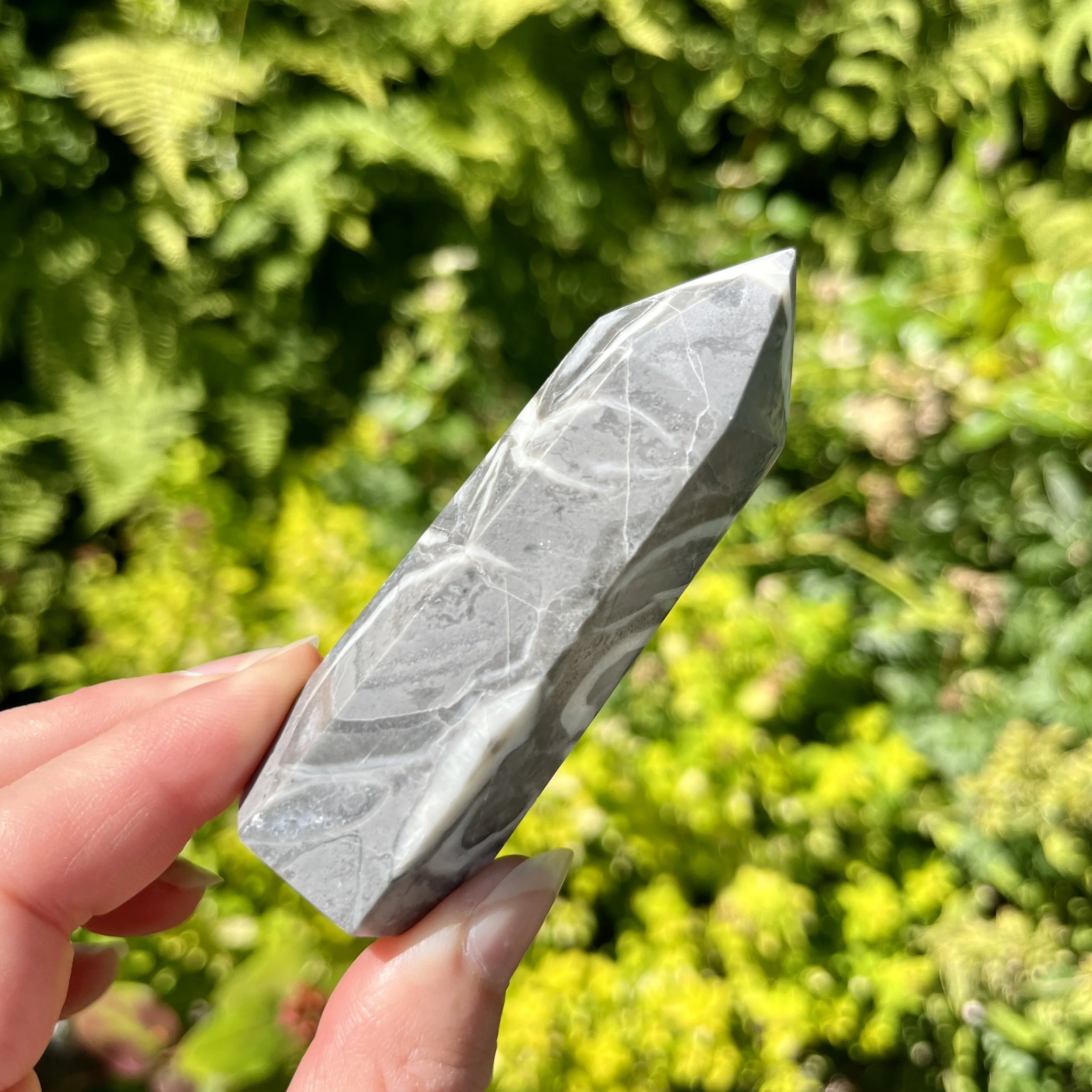 Shell Jasper point 2d.jpeg