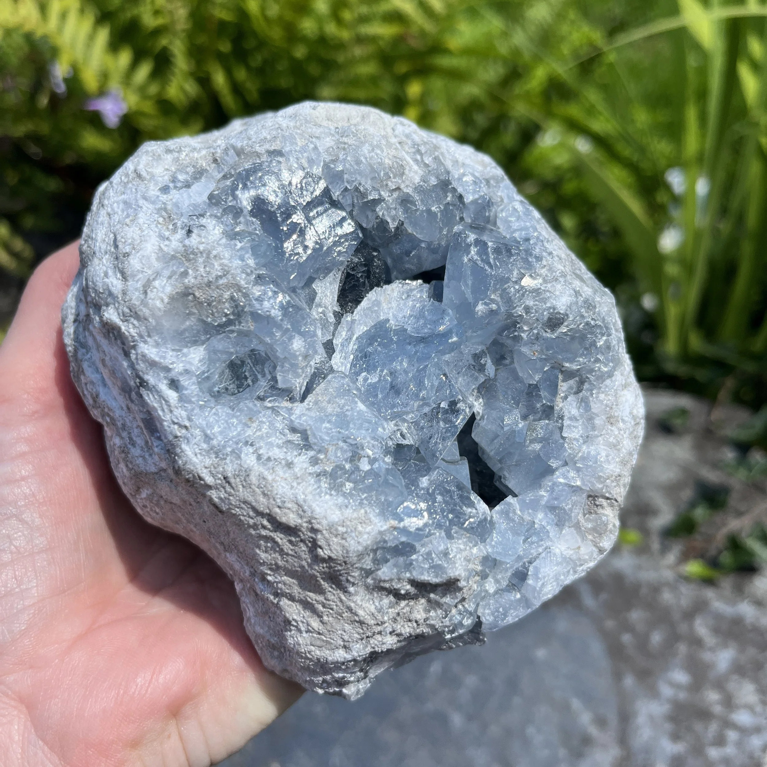 Celestite geode 1d.jpeg