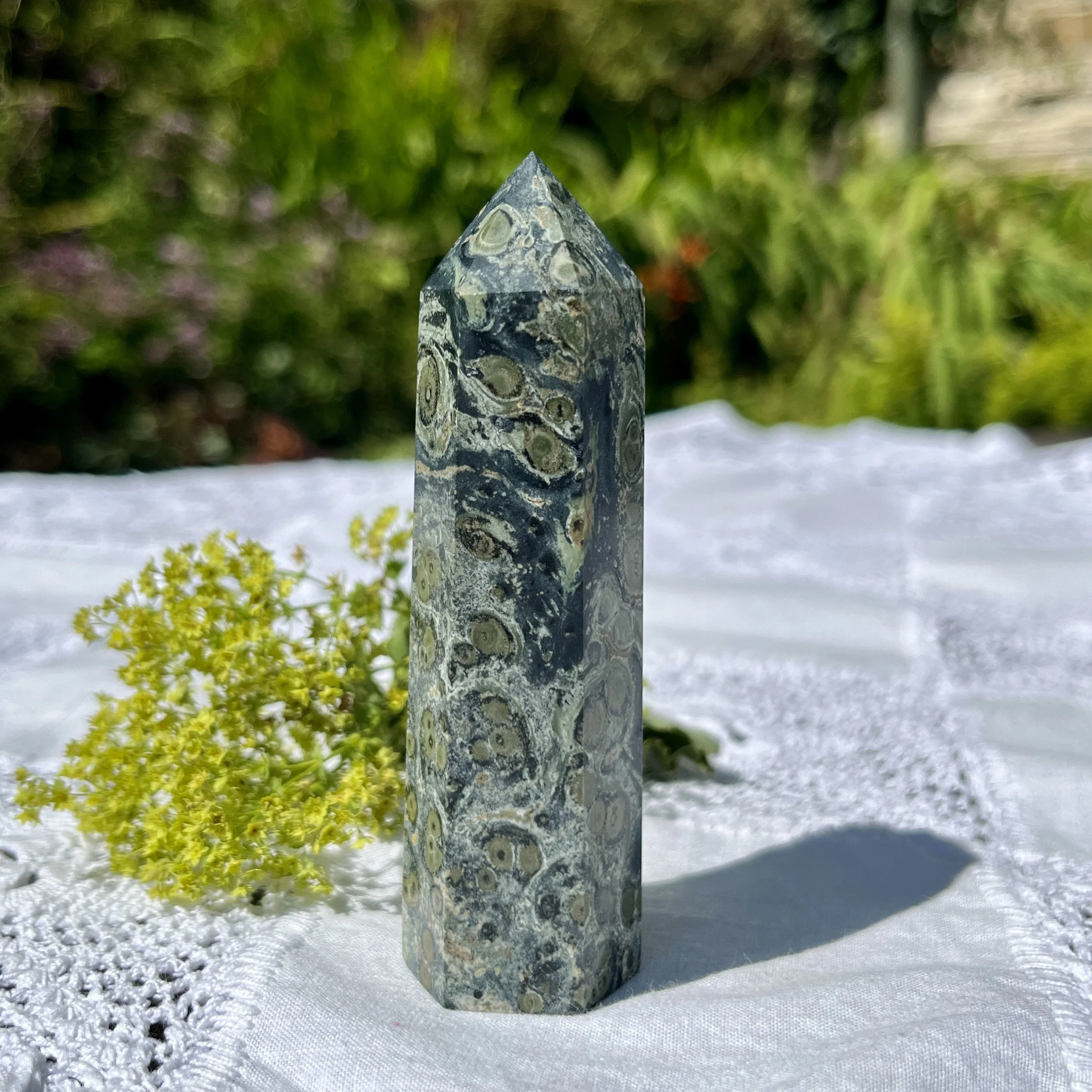 Kambaba Jasper point 2a.jpeg