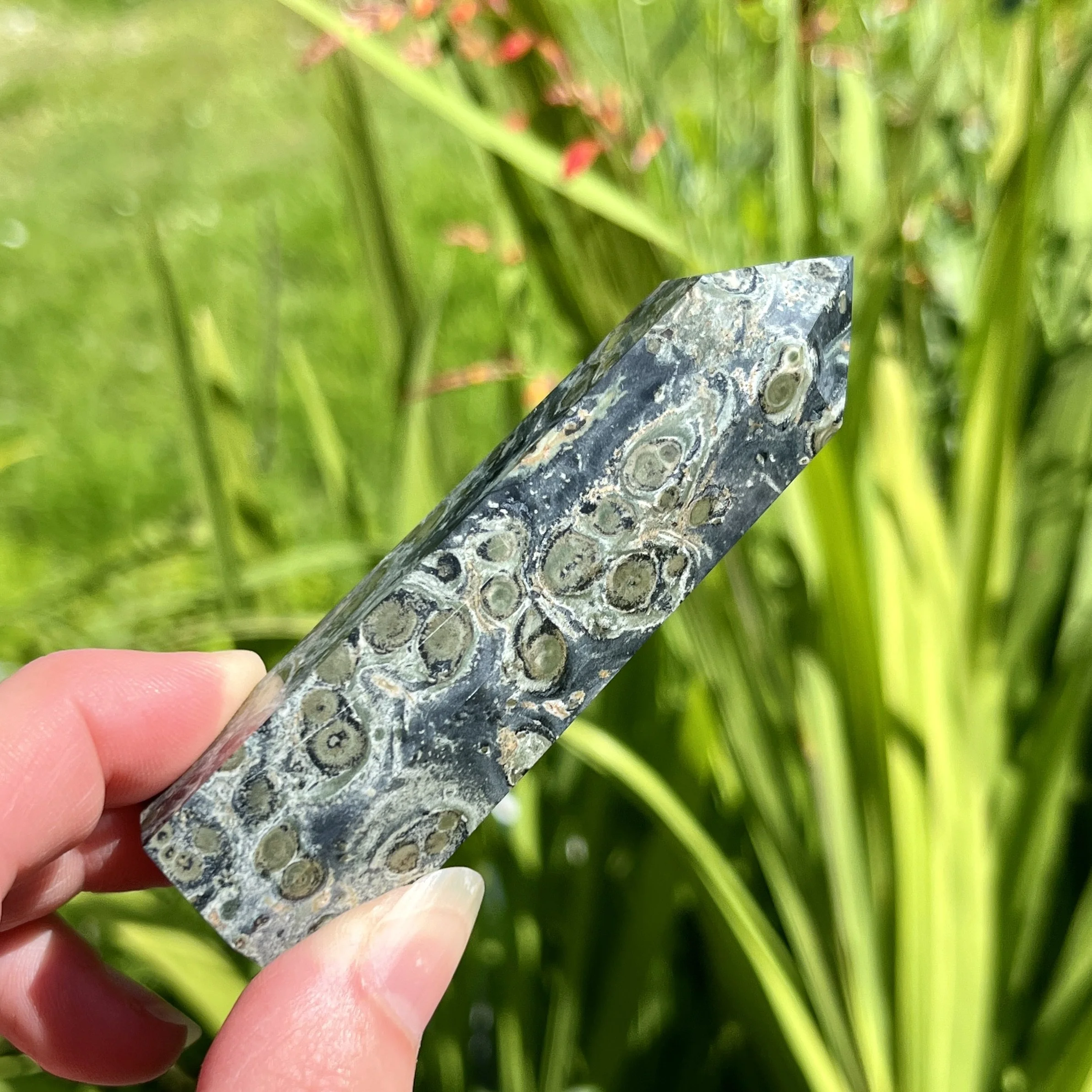 Kambaba Jasper point 2d.jpeg