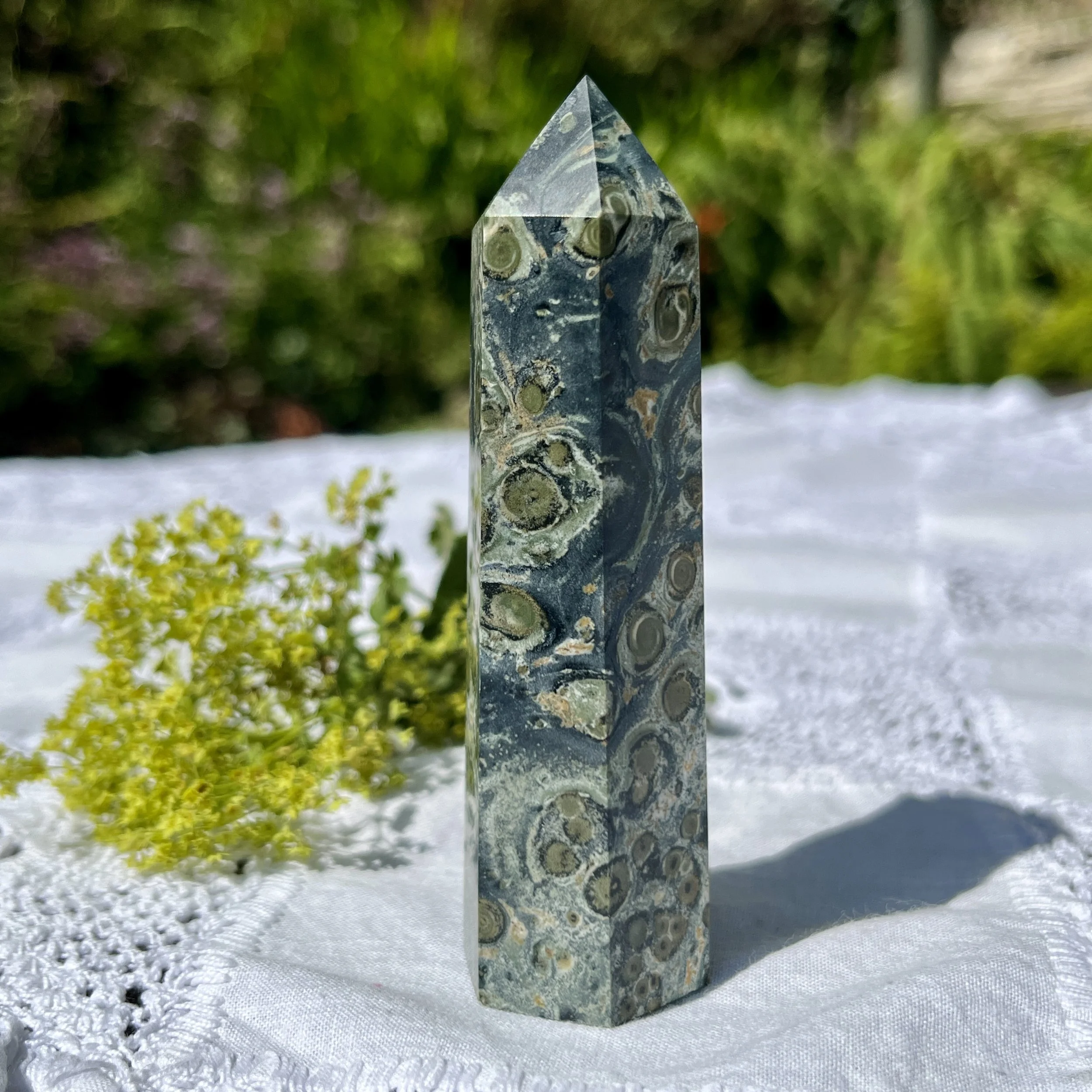 Kambaba Jasper point 2c.jpeg