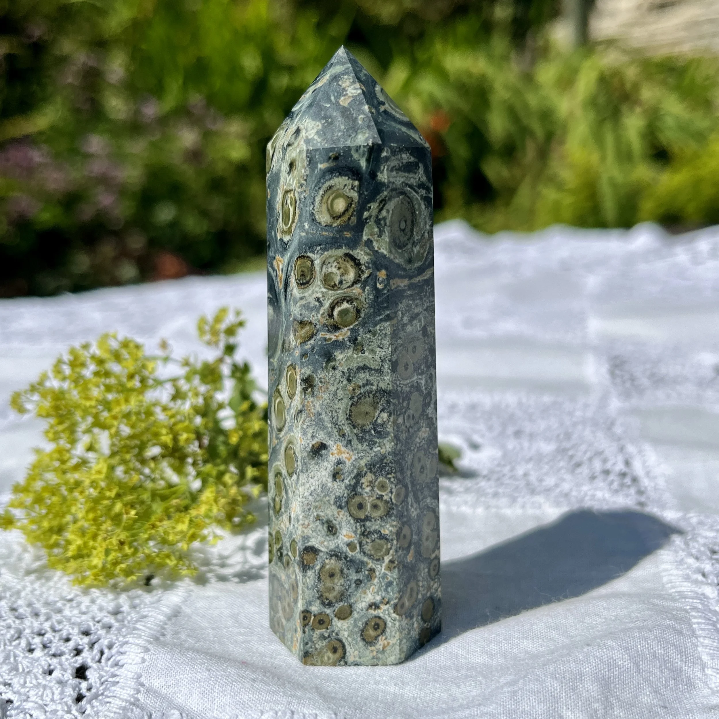 Kambaba Jasper point 2b.jpeg