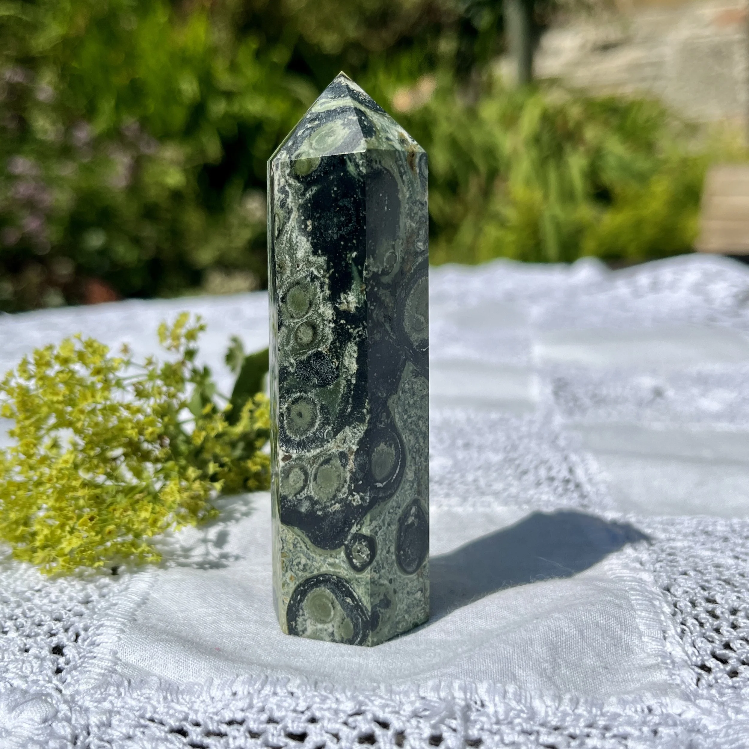 Kambaba Jasper point 3a.jpeg