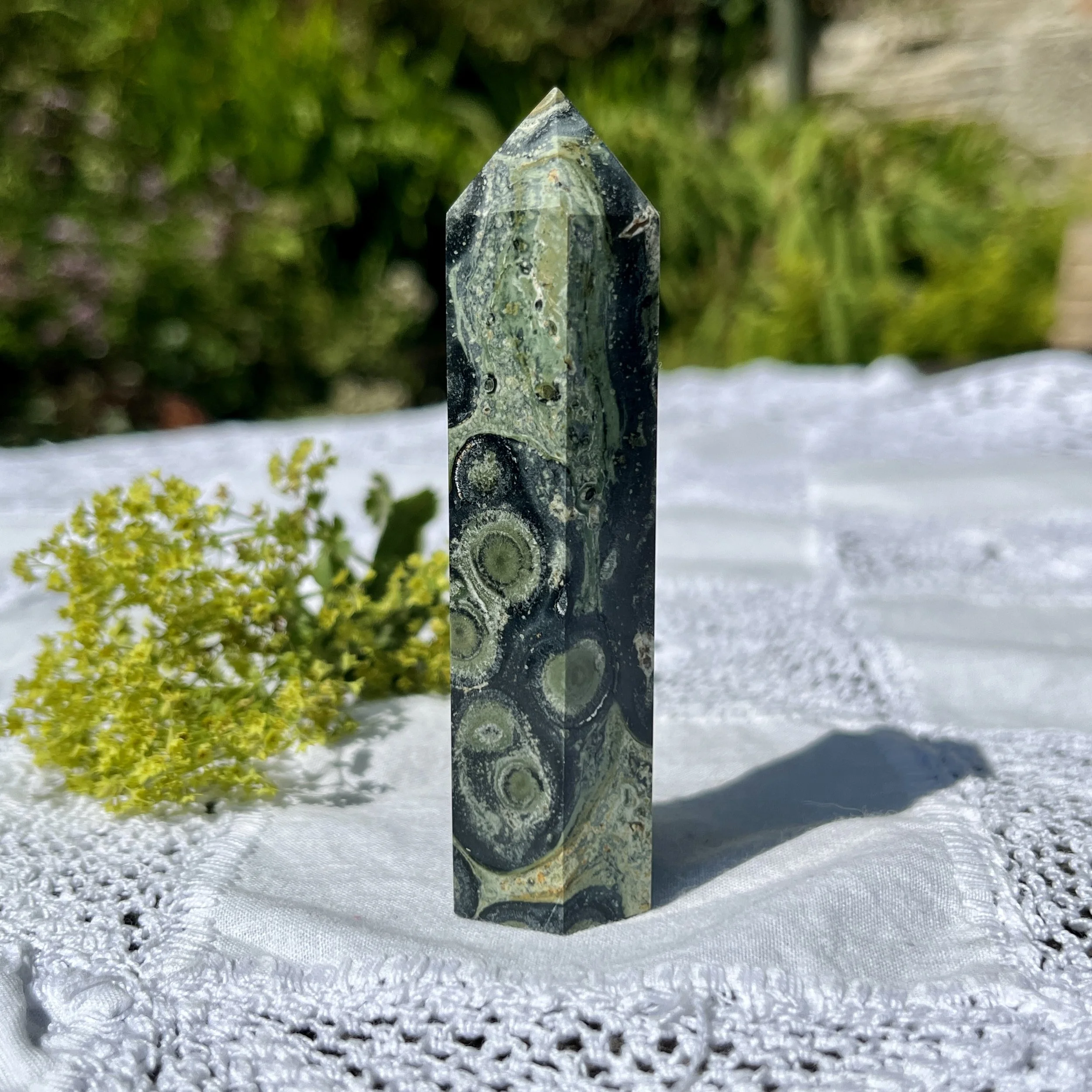 Kambaba Jasper point 3b.jpeg