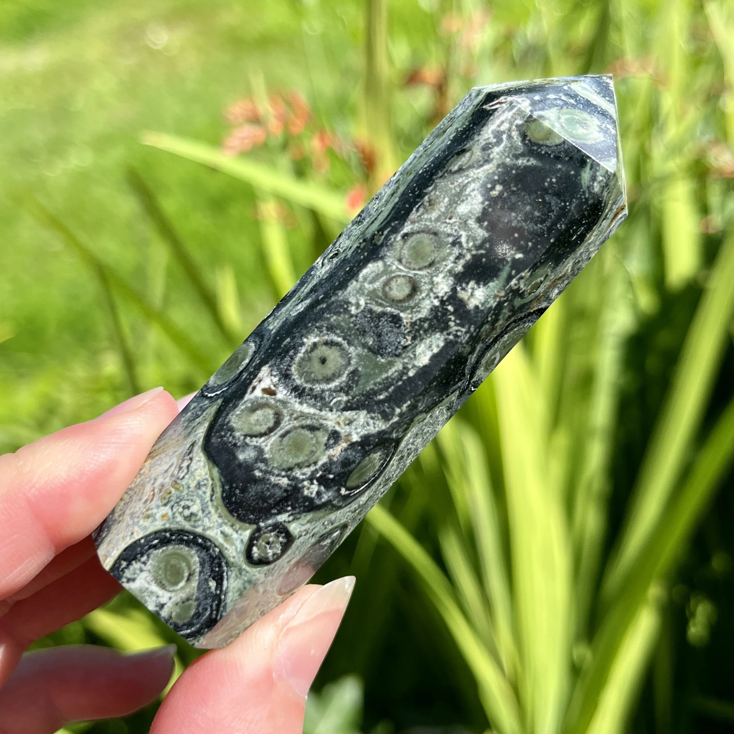 Kambaba Jasper point 3e.jpeg