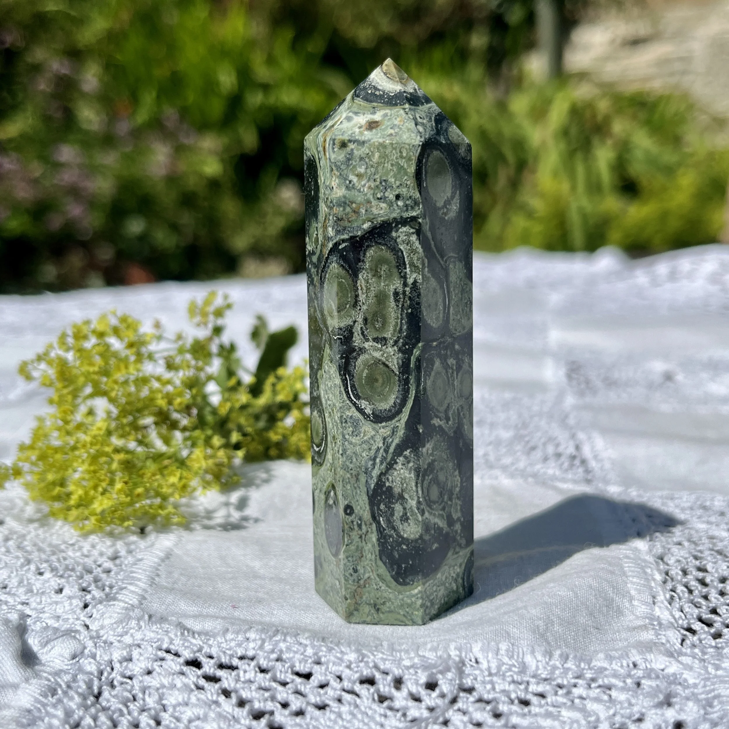 Kambaba Jasper point 3c.jpeg