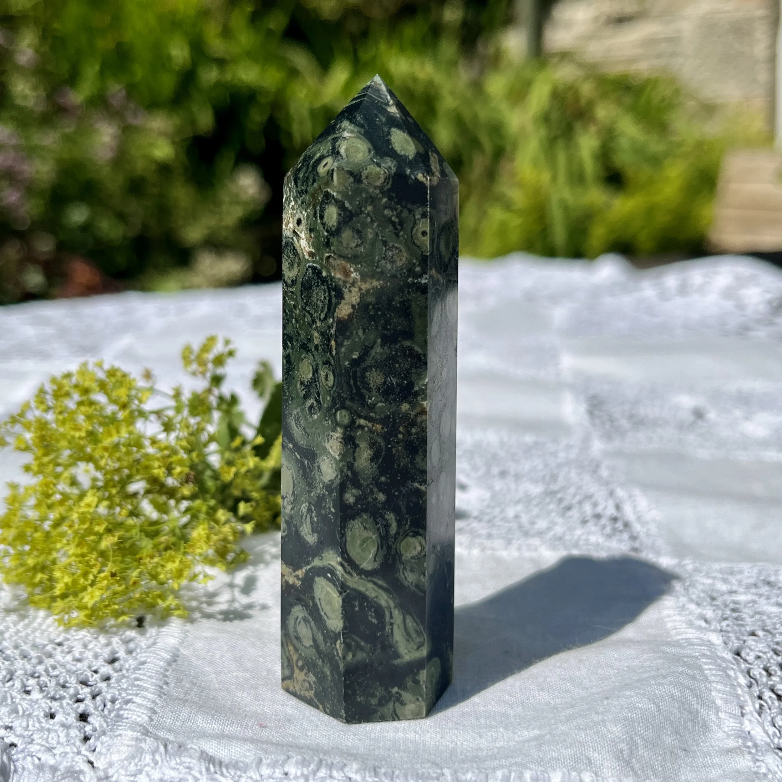 Kambaba Jasper point 4a.jpeg