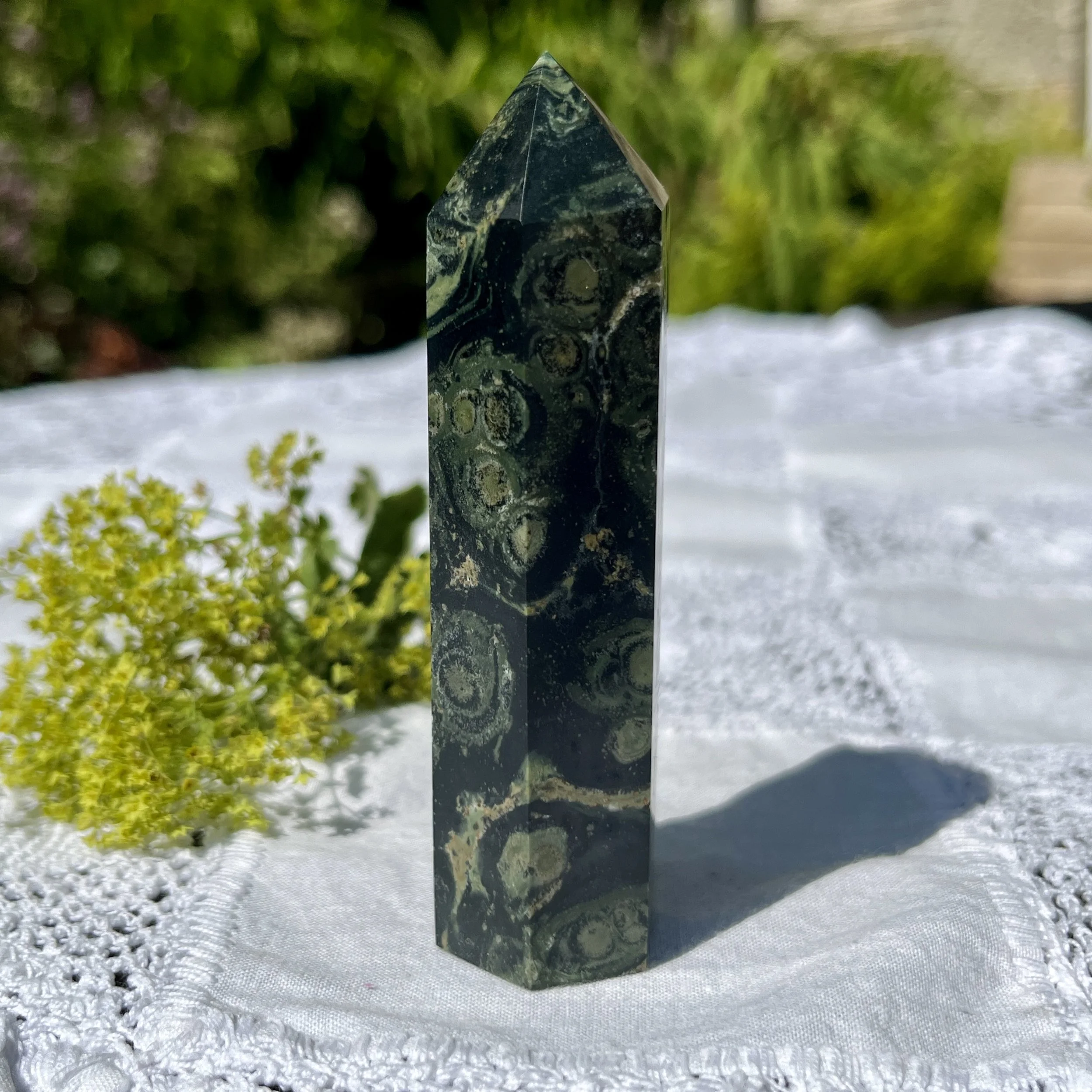 Kambaba Jasper point 4b.jpeg