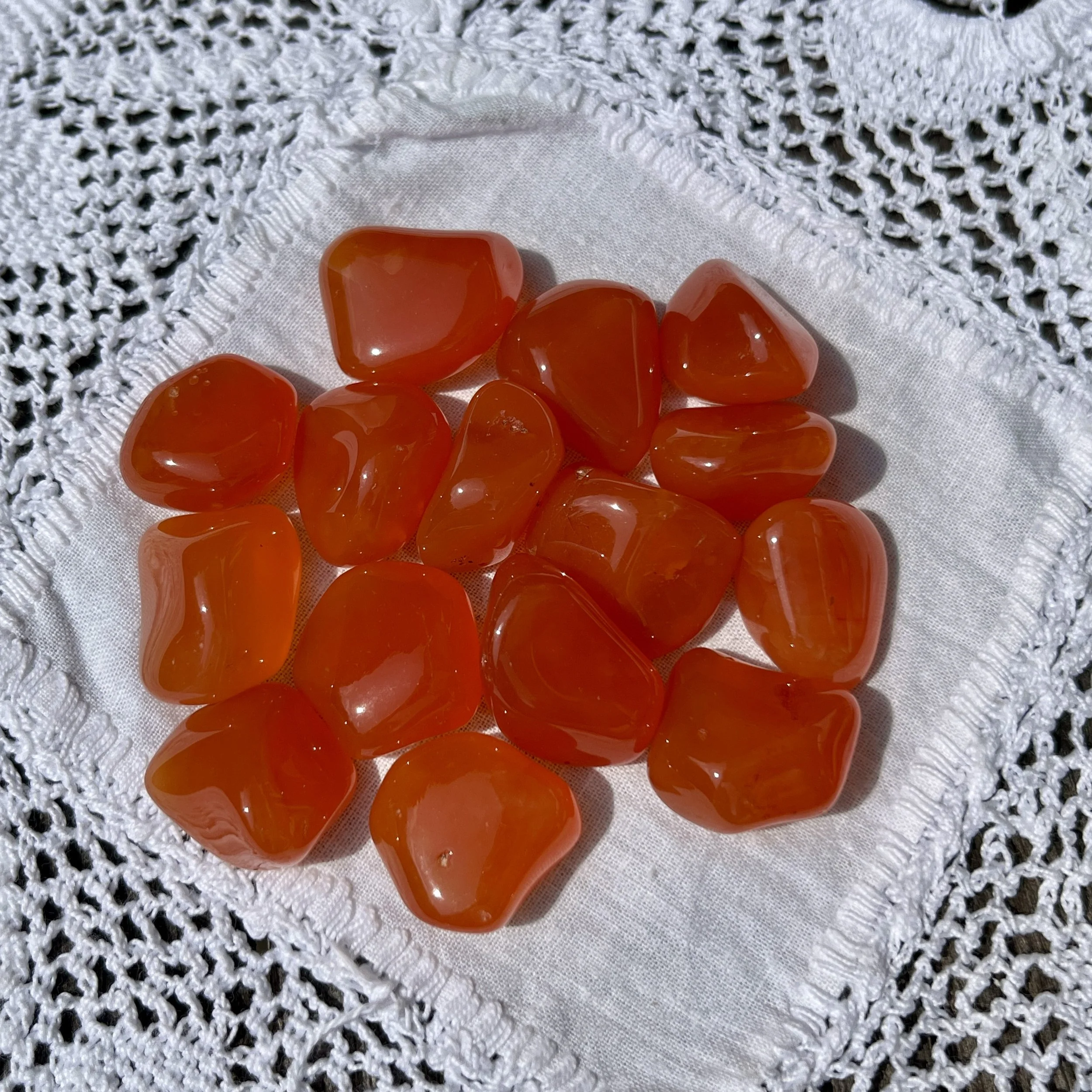 Carnelian bright TS b.jpeg
