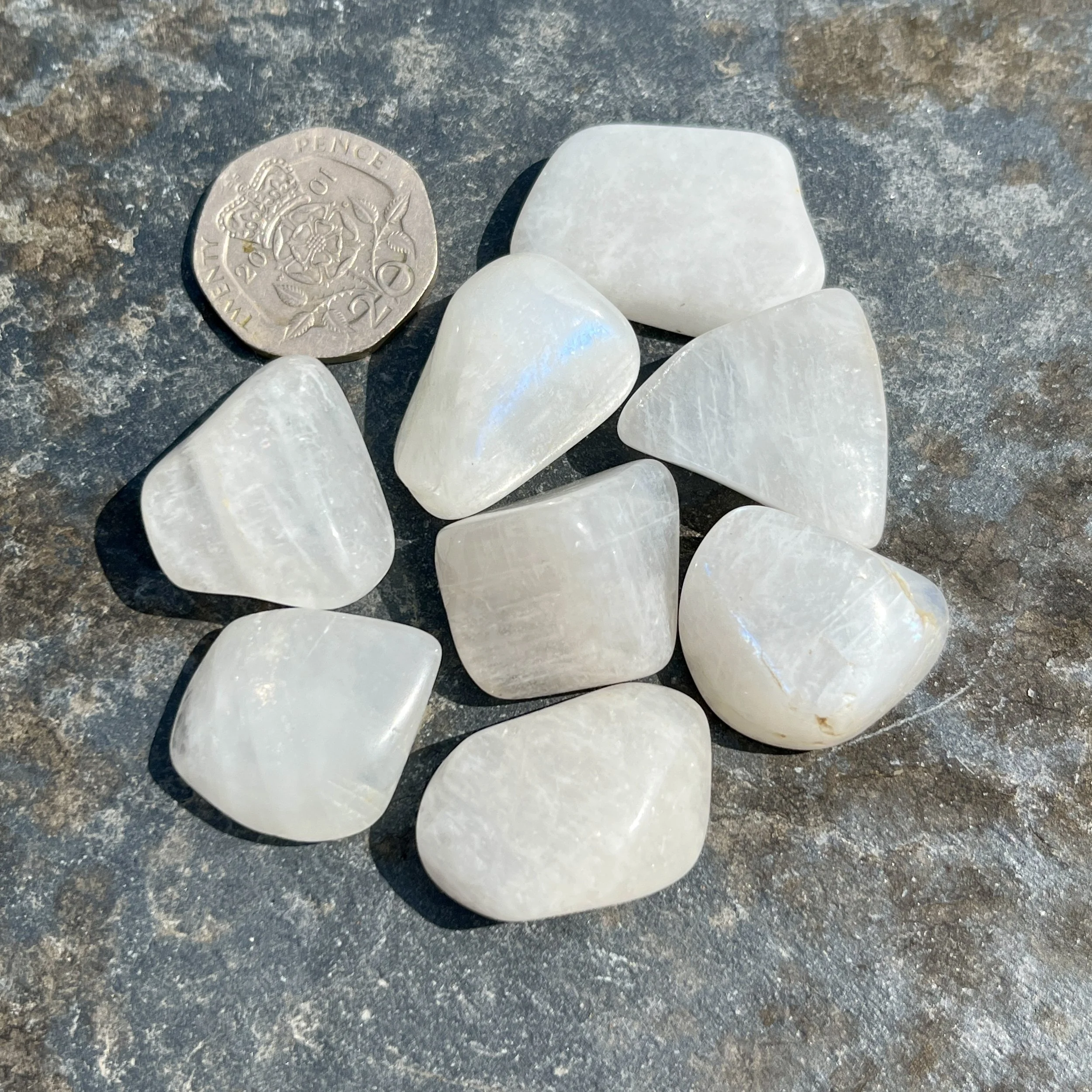 Rainbow moonstone white TS c.jpeg