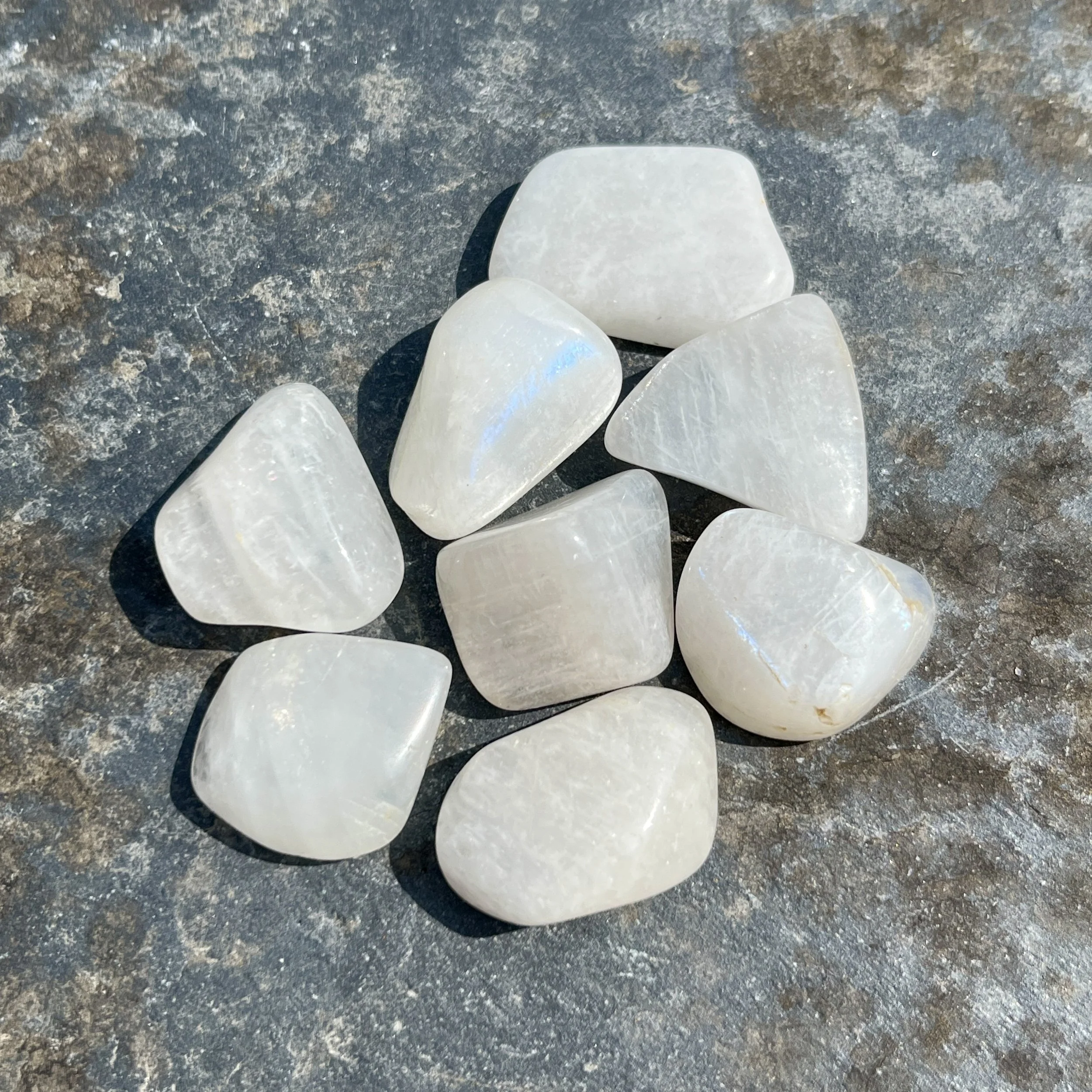 Rainbow moonstone white TS b.jpeg