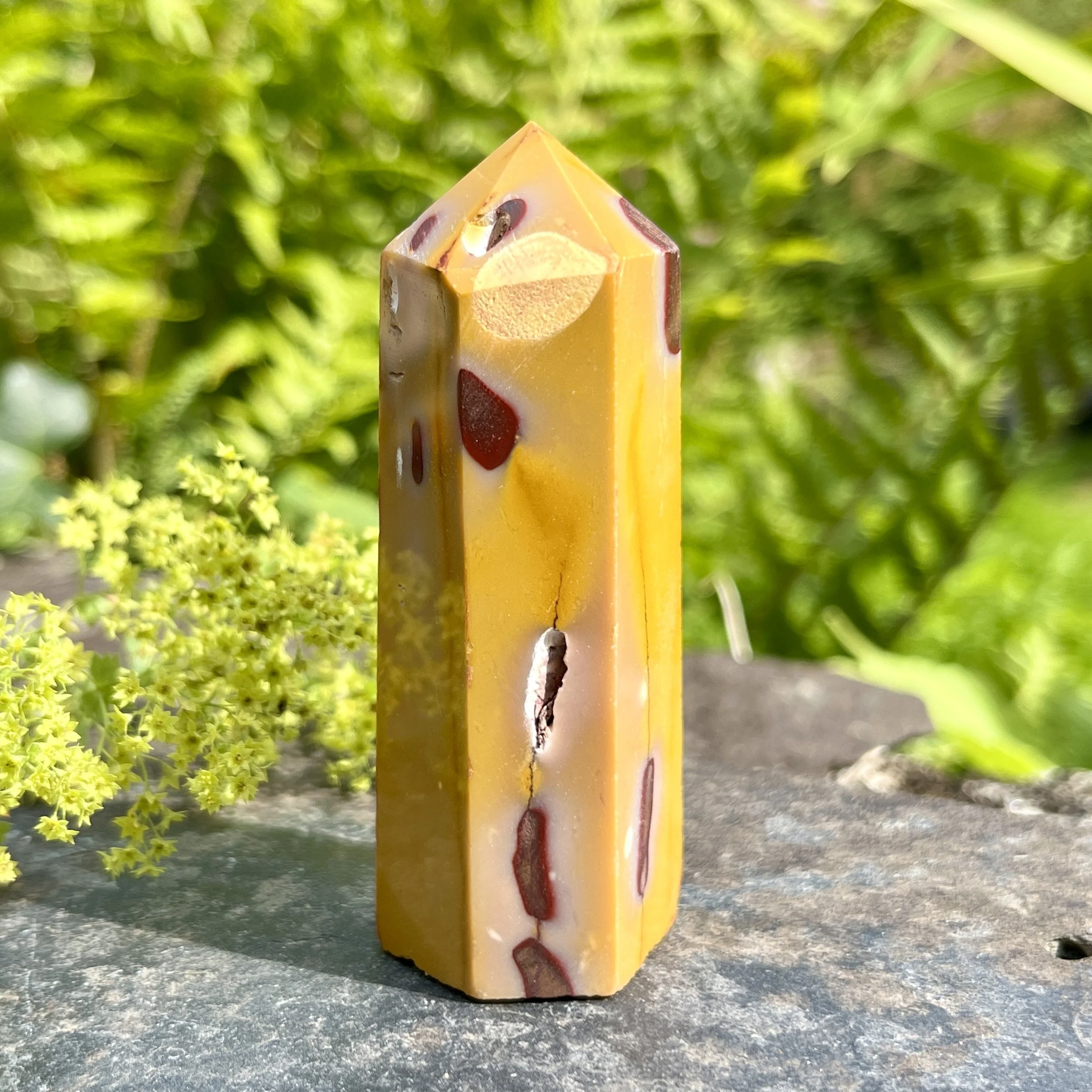 Mookite standing point 2a.jpeg