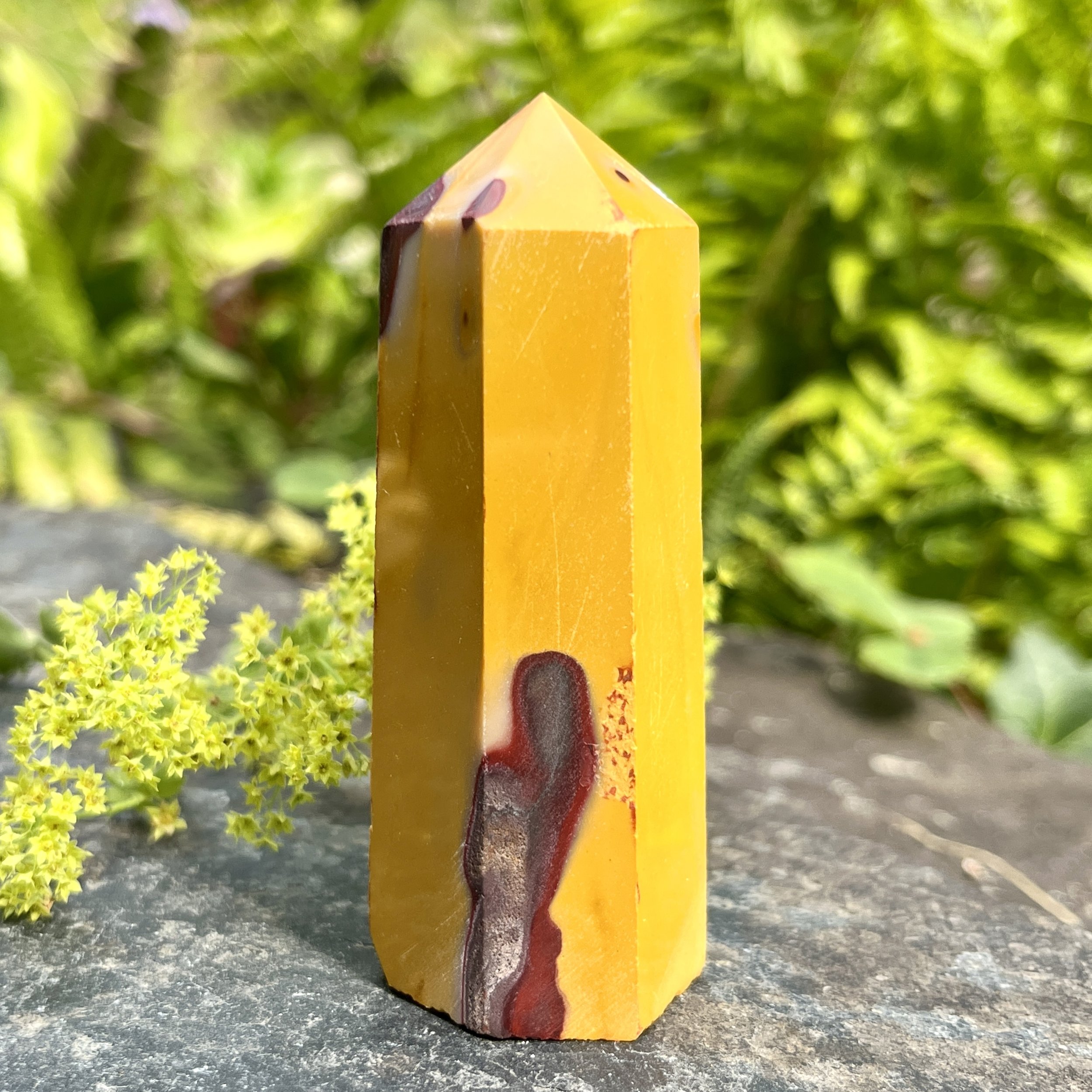 Mookite standing point 2b.jpeg