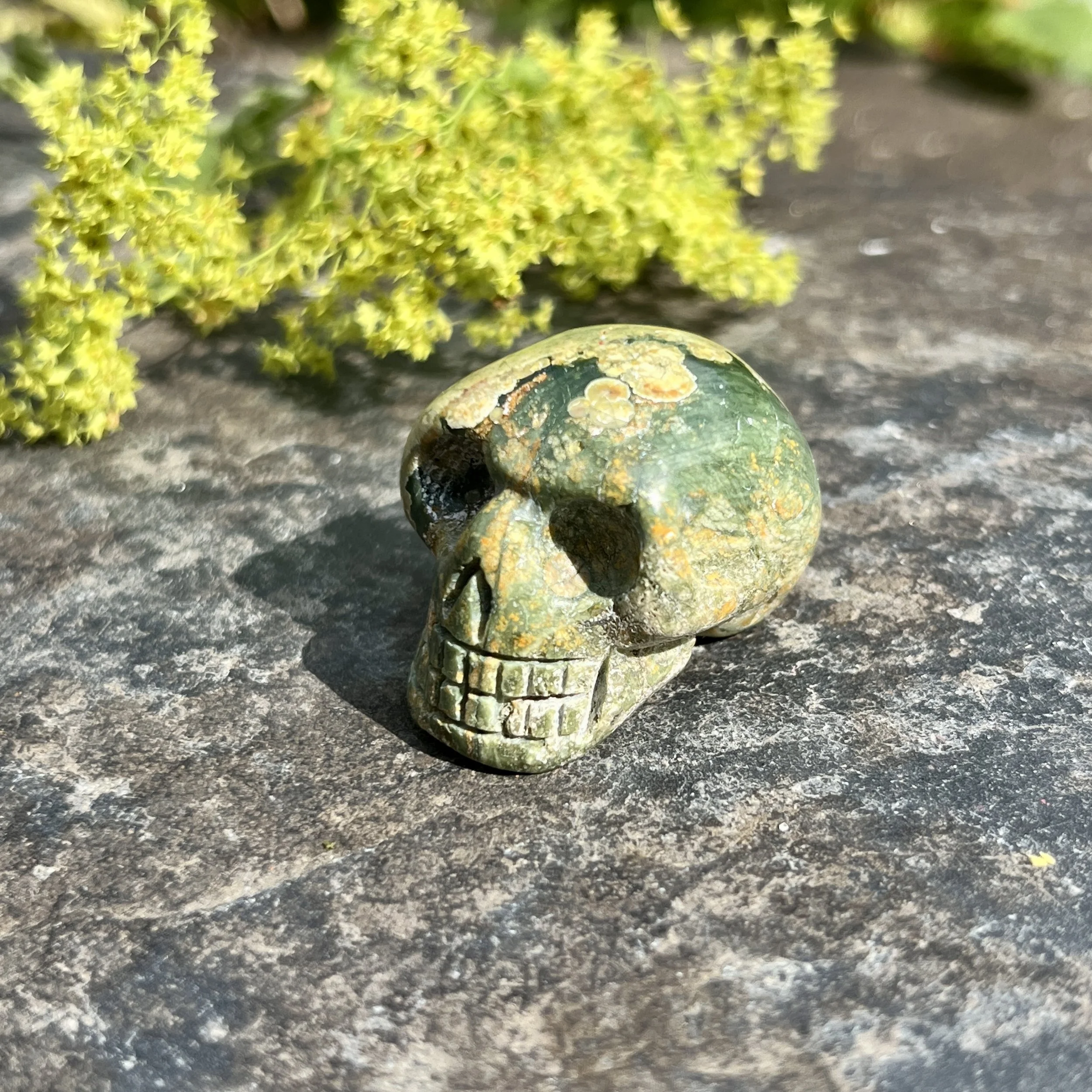 Ocean Jasper skull 2b.jpeg