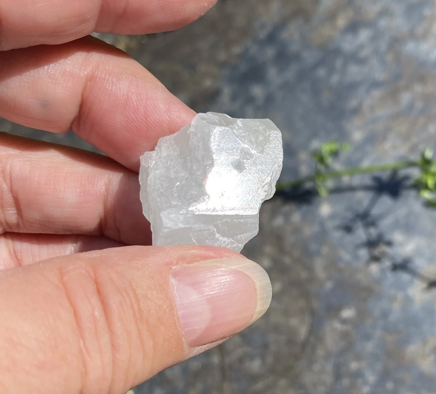 Aquamarine 5 13g3.JPG