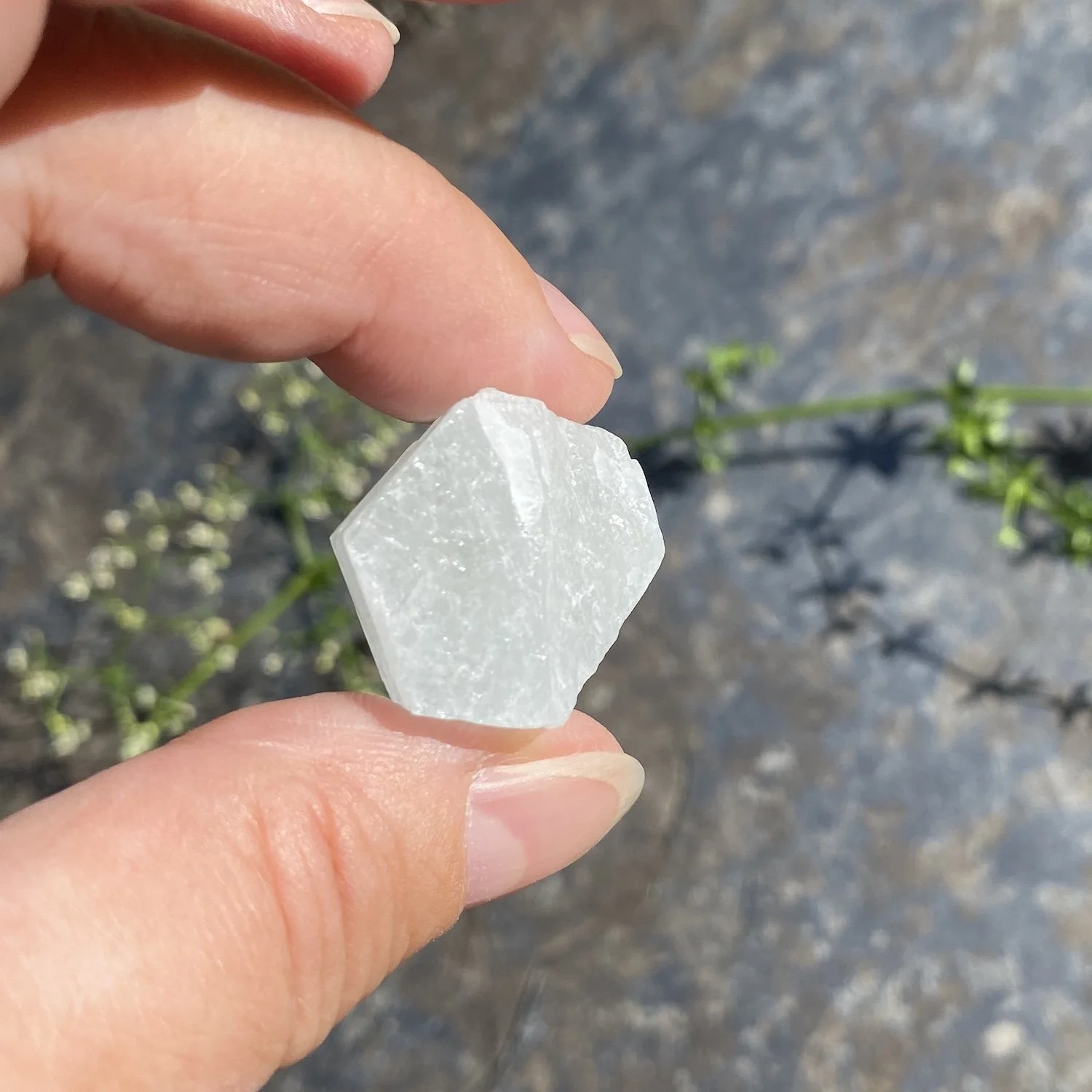 Aquamarine 5 13g1.JPG