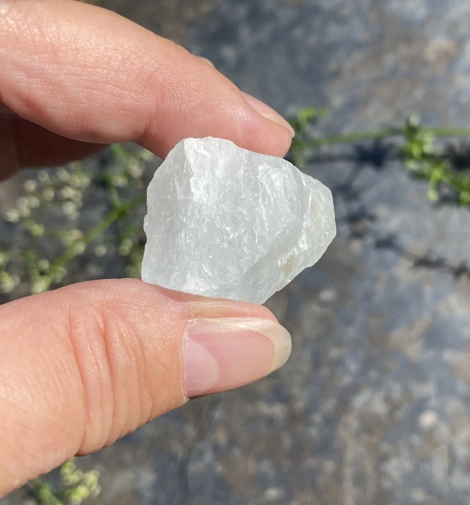 Aquamarine 5 13g2.JPG