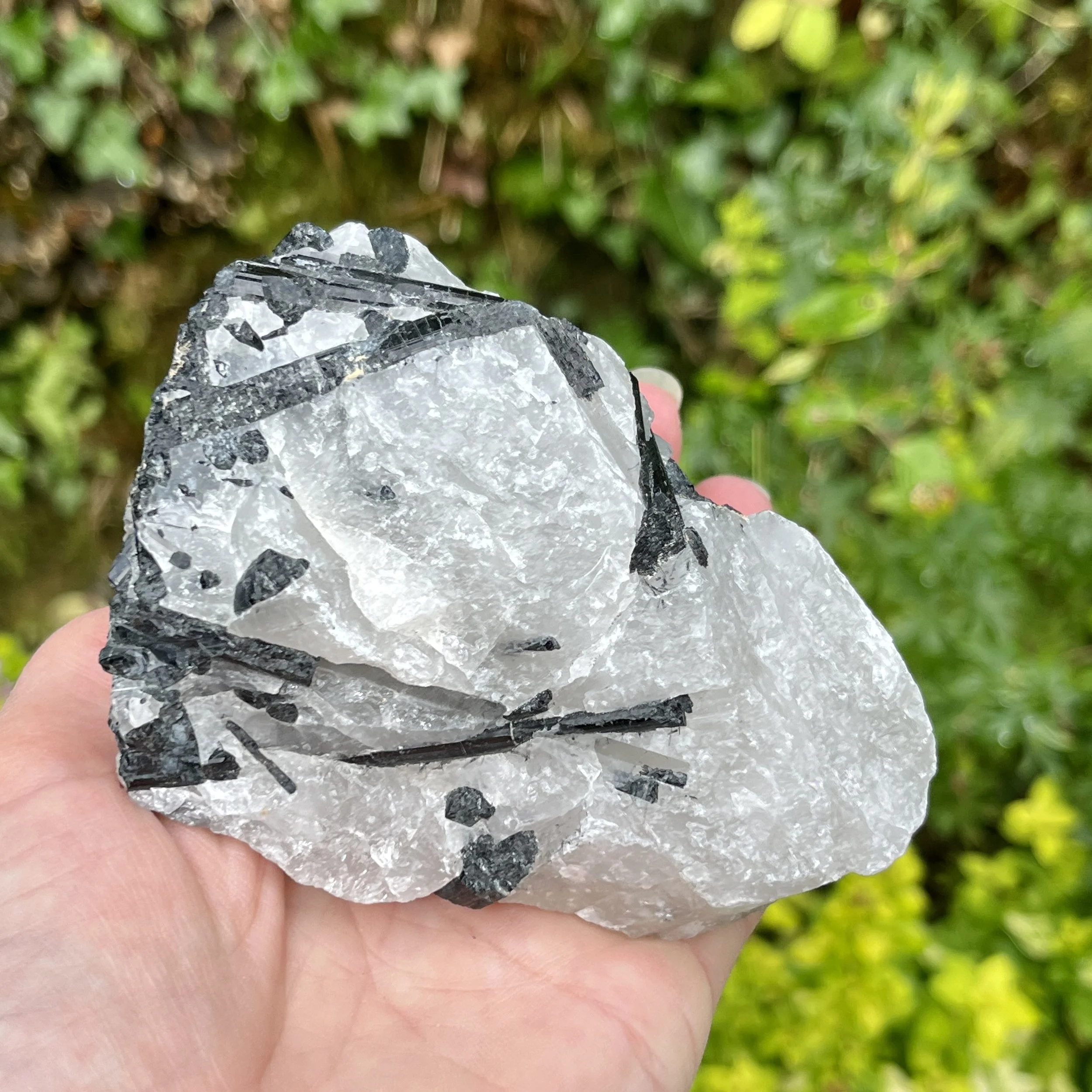 Tourmaline in Quartz raw 1e.jpeg