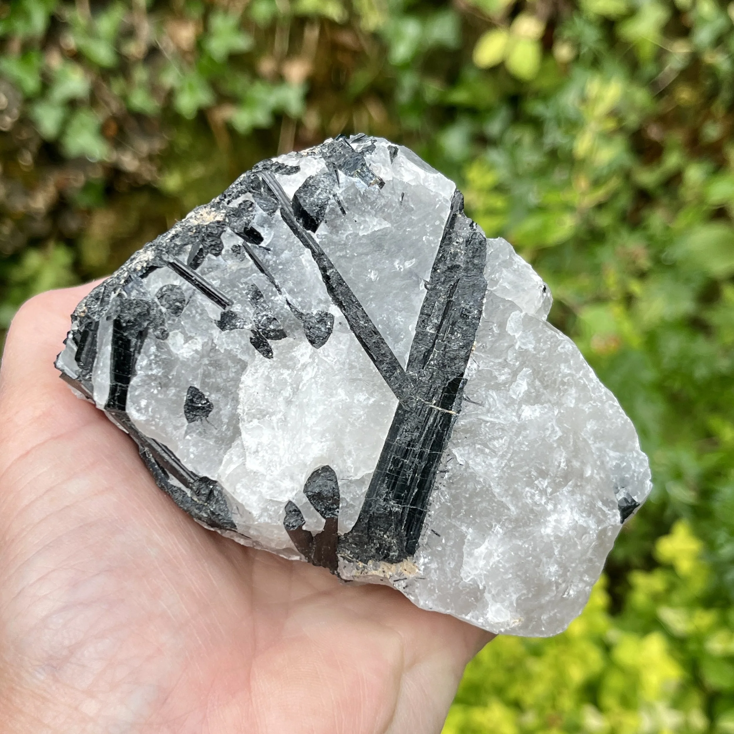 Tourmaline in Quartz raw 1d.jpeg