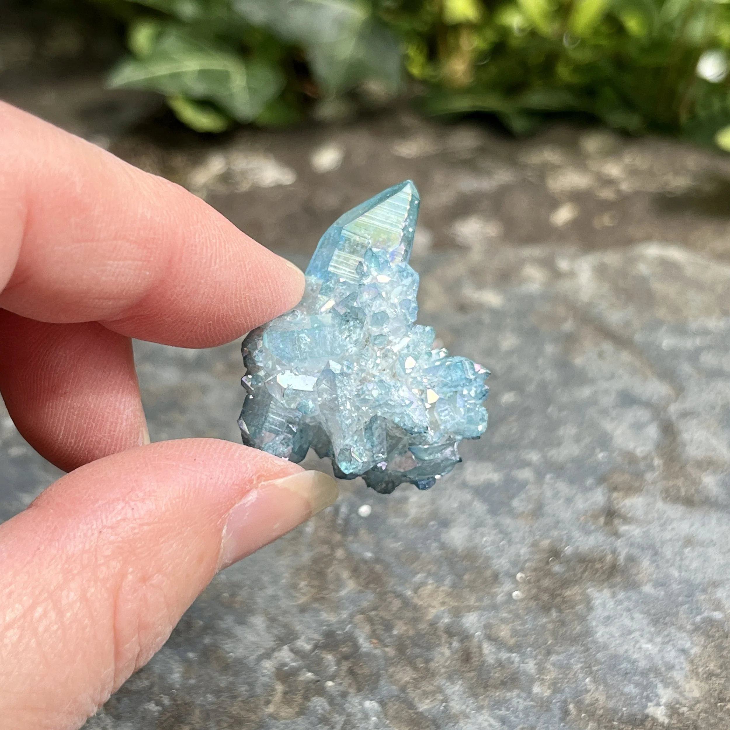 Aqua Aura cluster 2c.jpeg