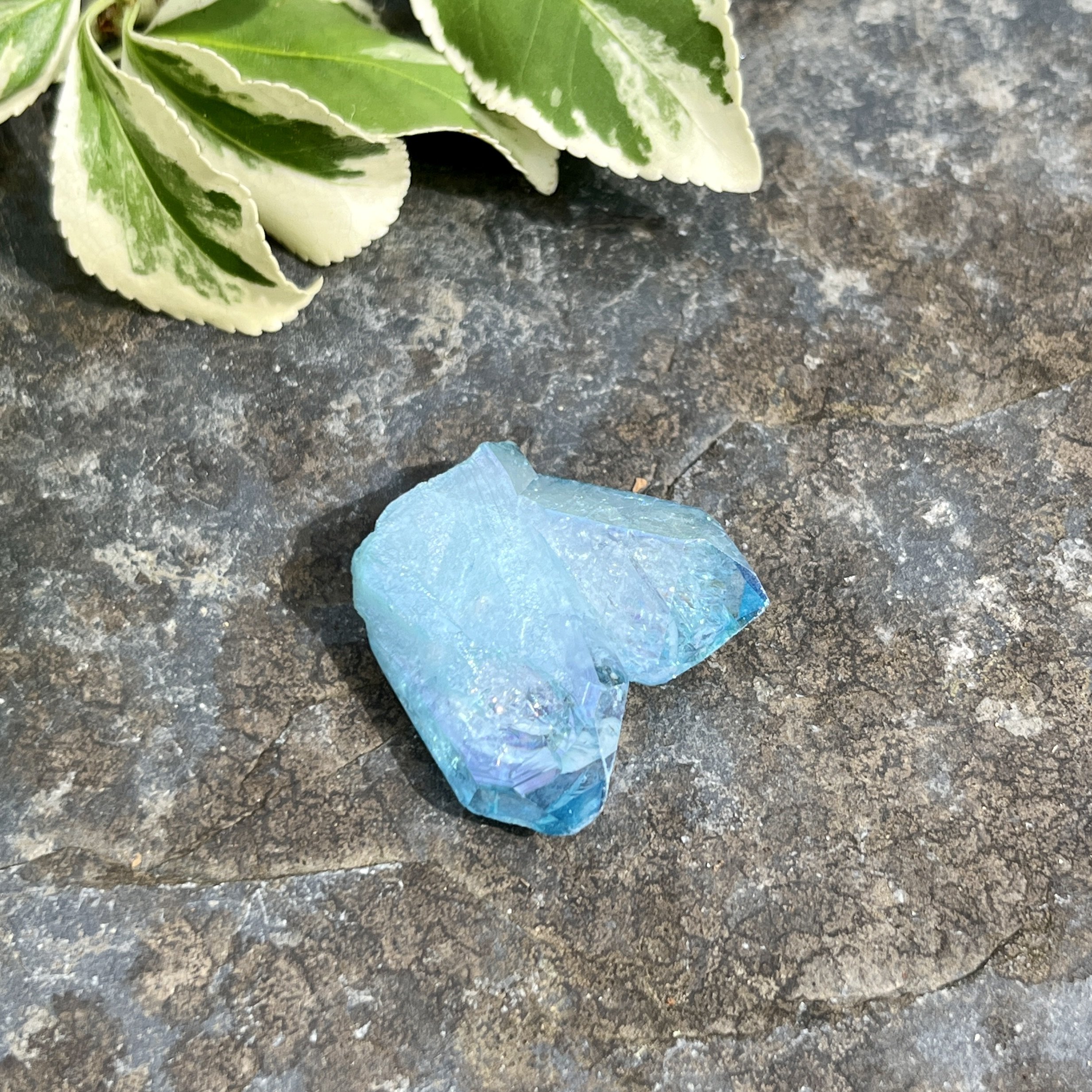 Aqua Aura cluster 7a.jpeg