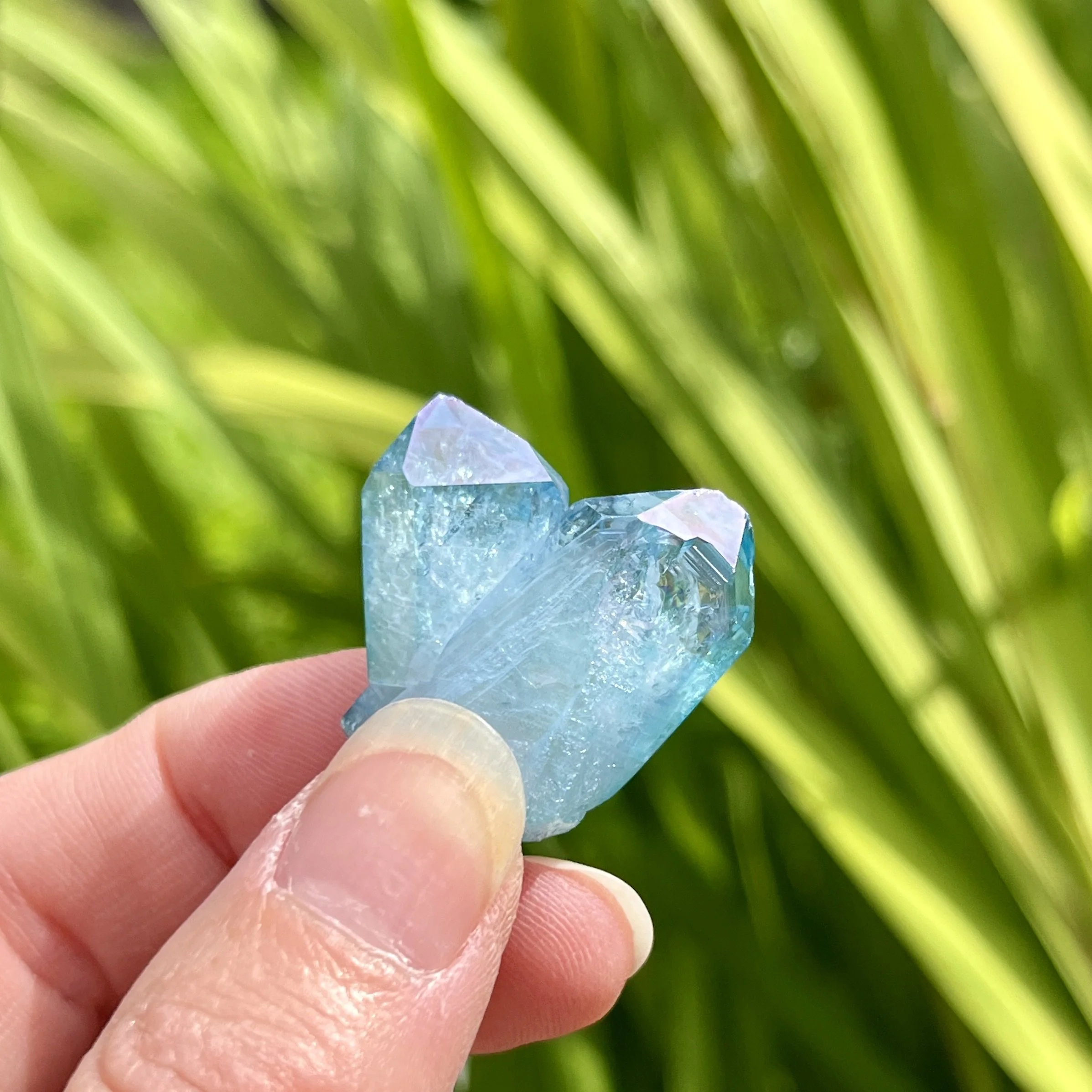 Aqua Aura cluster 7c.jpeg