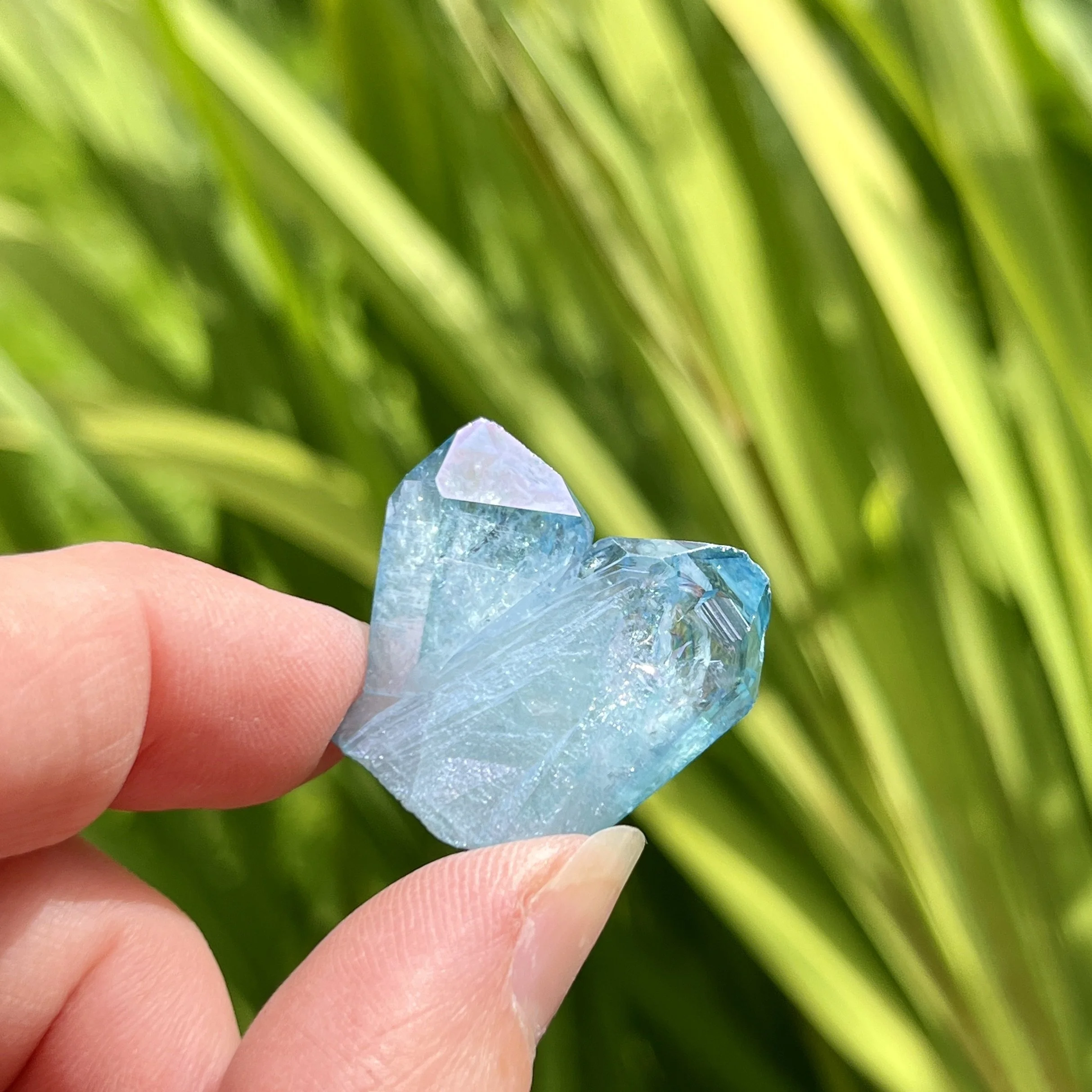 Aqua Aura cluster 7b.jpeg