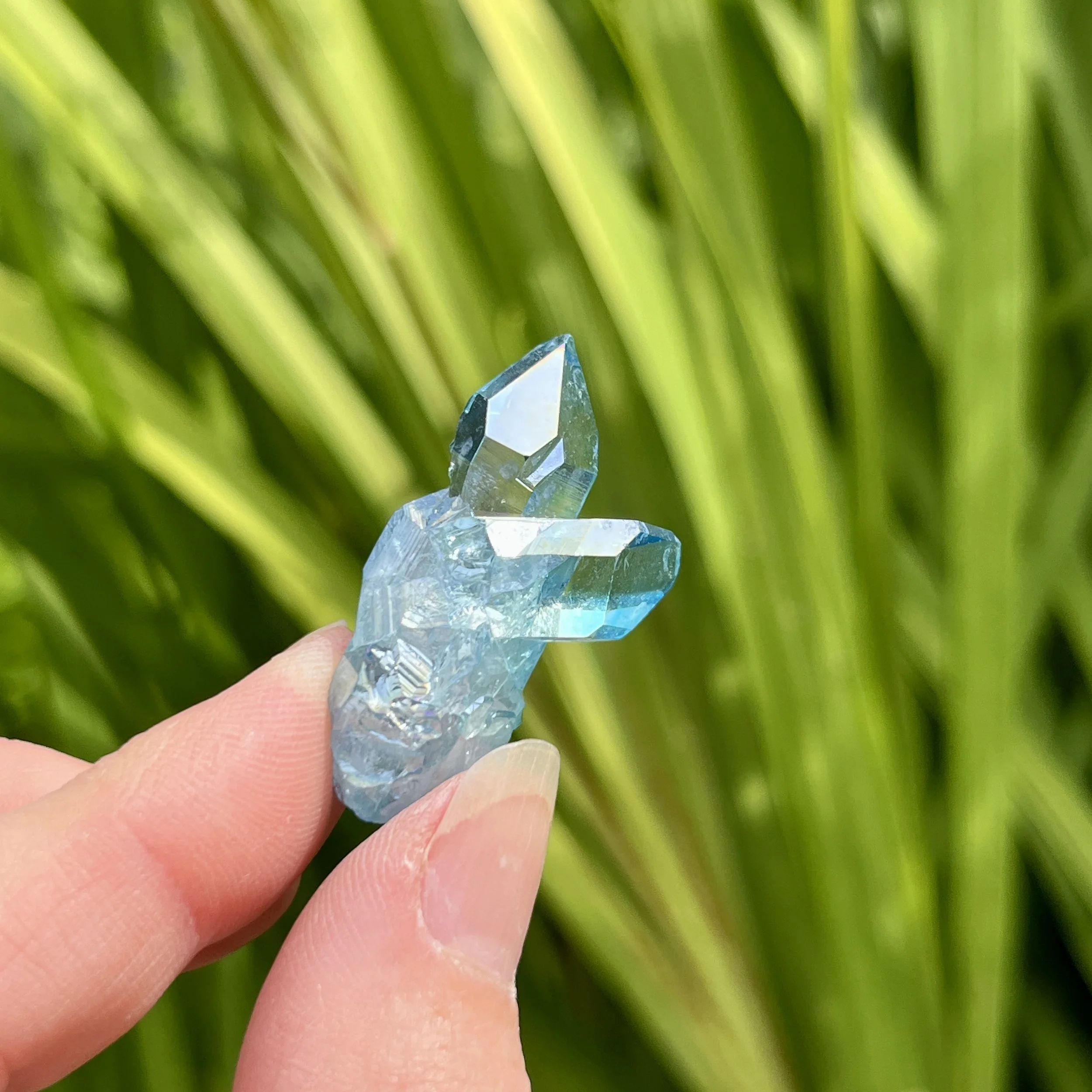 Aqua Aura cluster 10a.jpeg