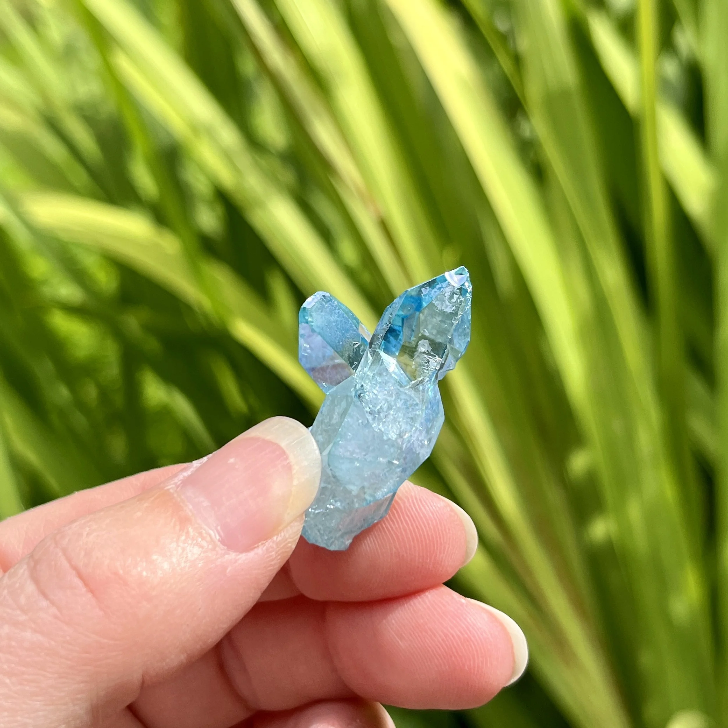 Aqua Aura cluster 10b.jpeg