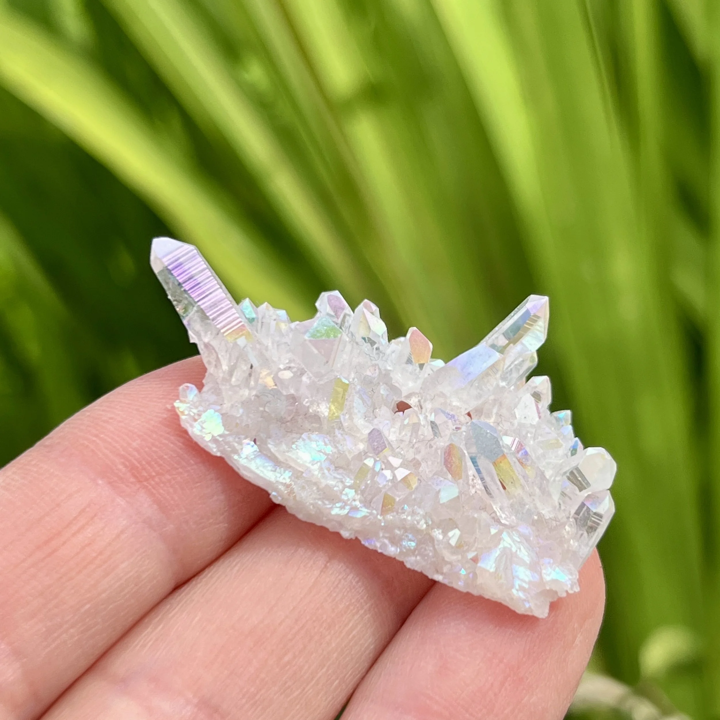 Angel Aura crystal 5e.jpeg